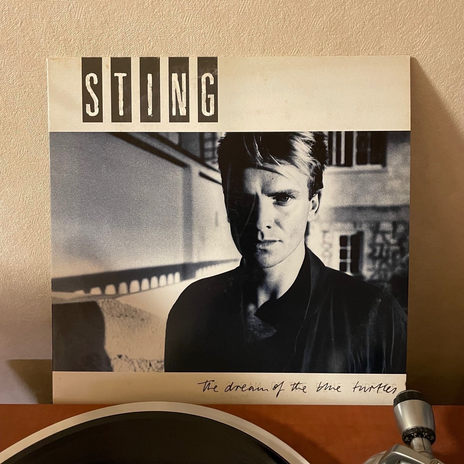 マイ・フェイバリット・ソングス 第22回～スティング｜関根裕治