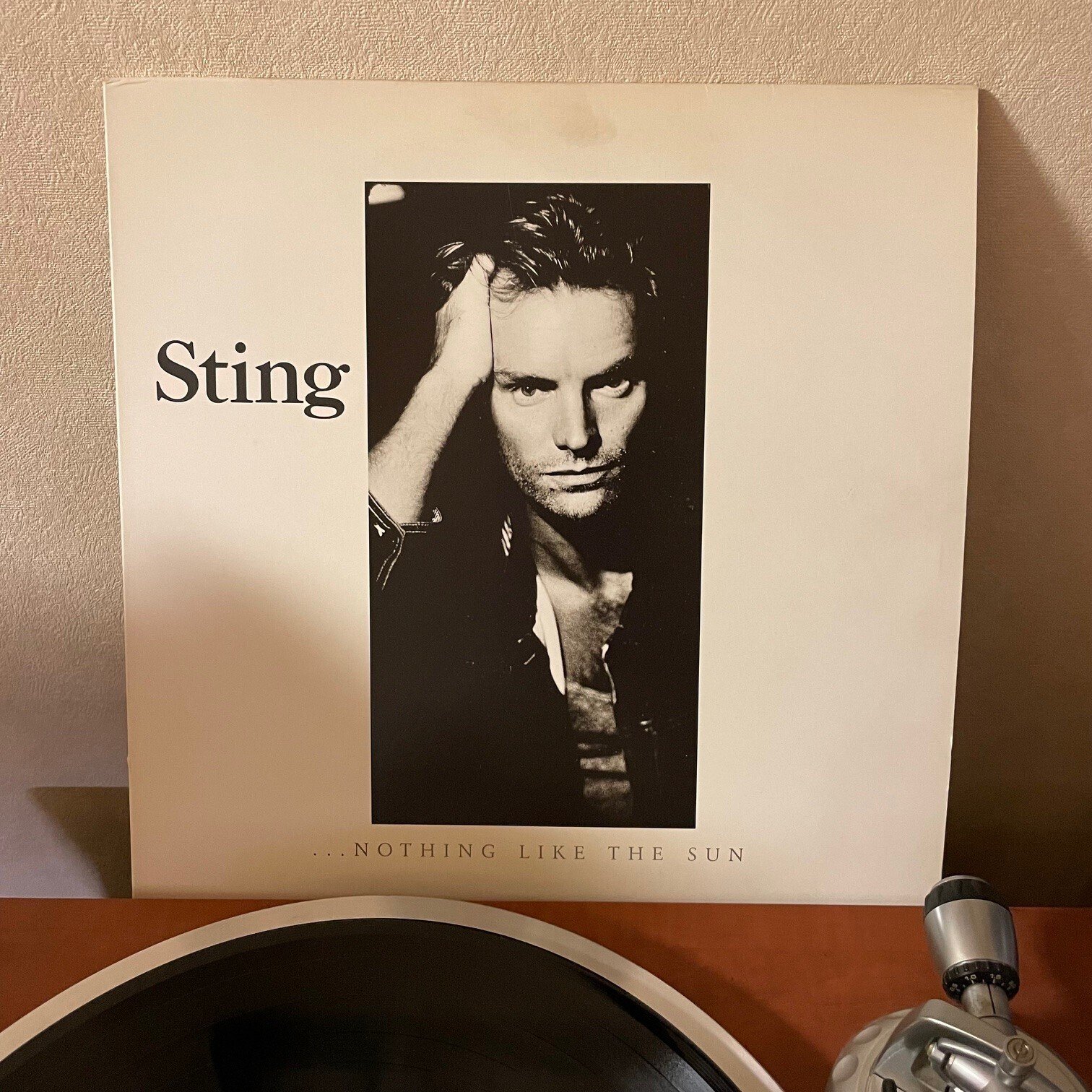 マイ・フェイバリット・ソングス 第22回～スティング｜関根裕治