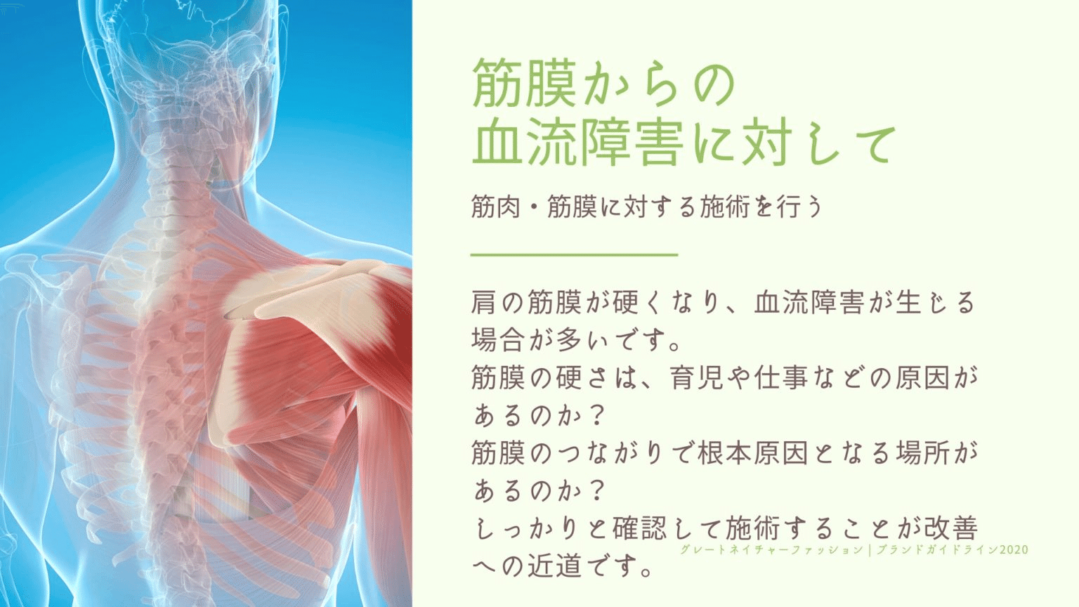 筋膜の施術について