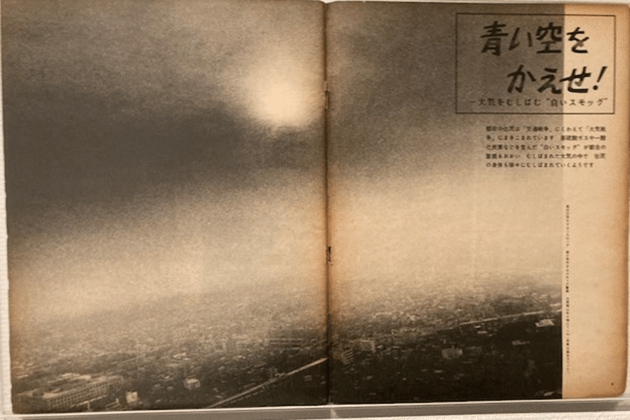 君は、見たいようにしか世界を見ていない-「中平卓馬 火-氾濫