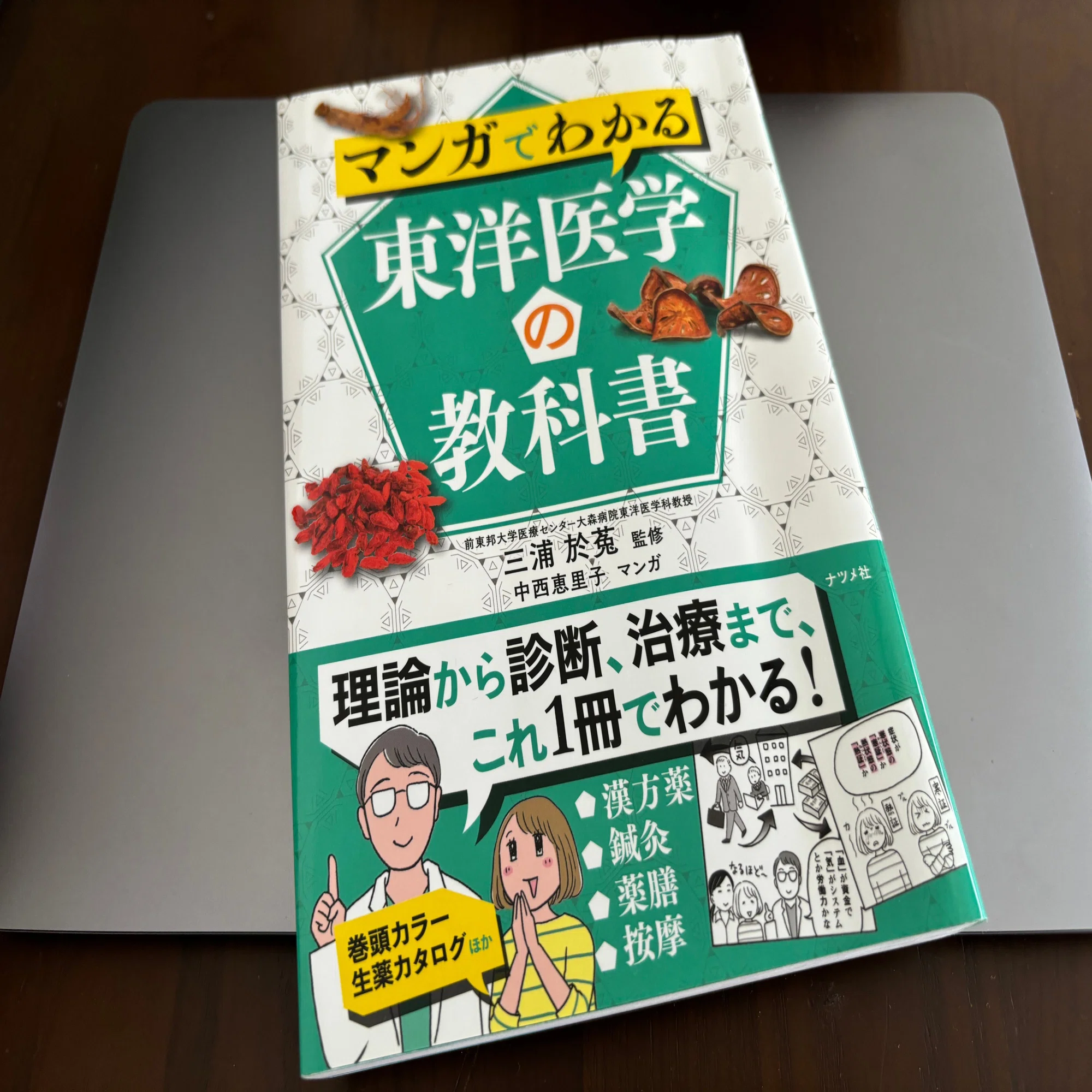 ブックレビュー】マンガでわかる東洋医学の教科書｜はじめのはりきゅう 