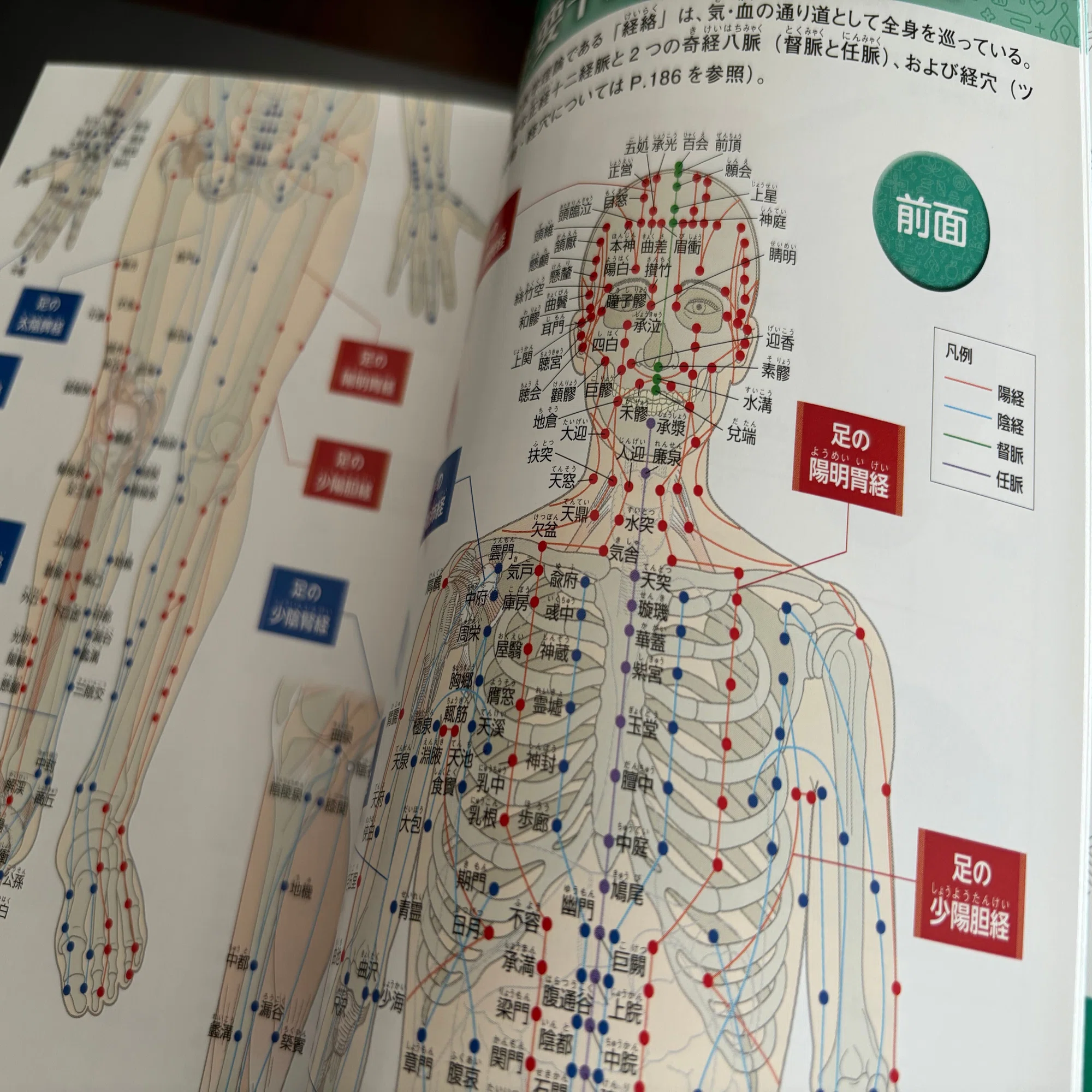 ブックレビュー】マンガでわかる東洋医学の教科書｜はじめのはりきゅう 
