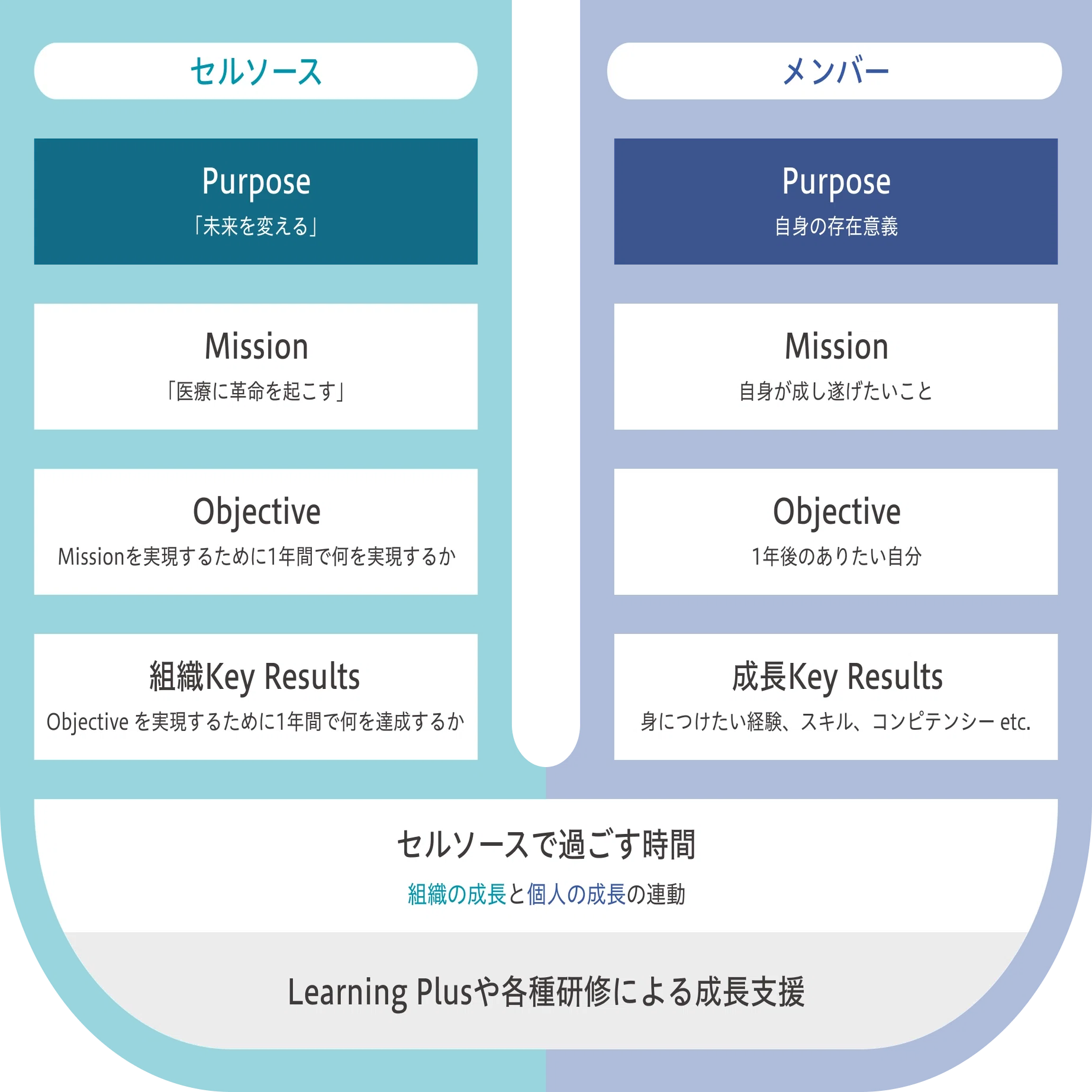 リーダーは作れないが、育てられる。～リーダーとマネジメントの違い