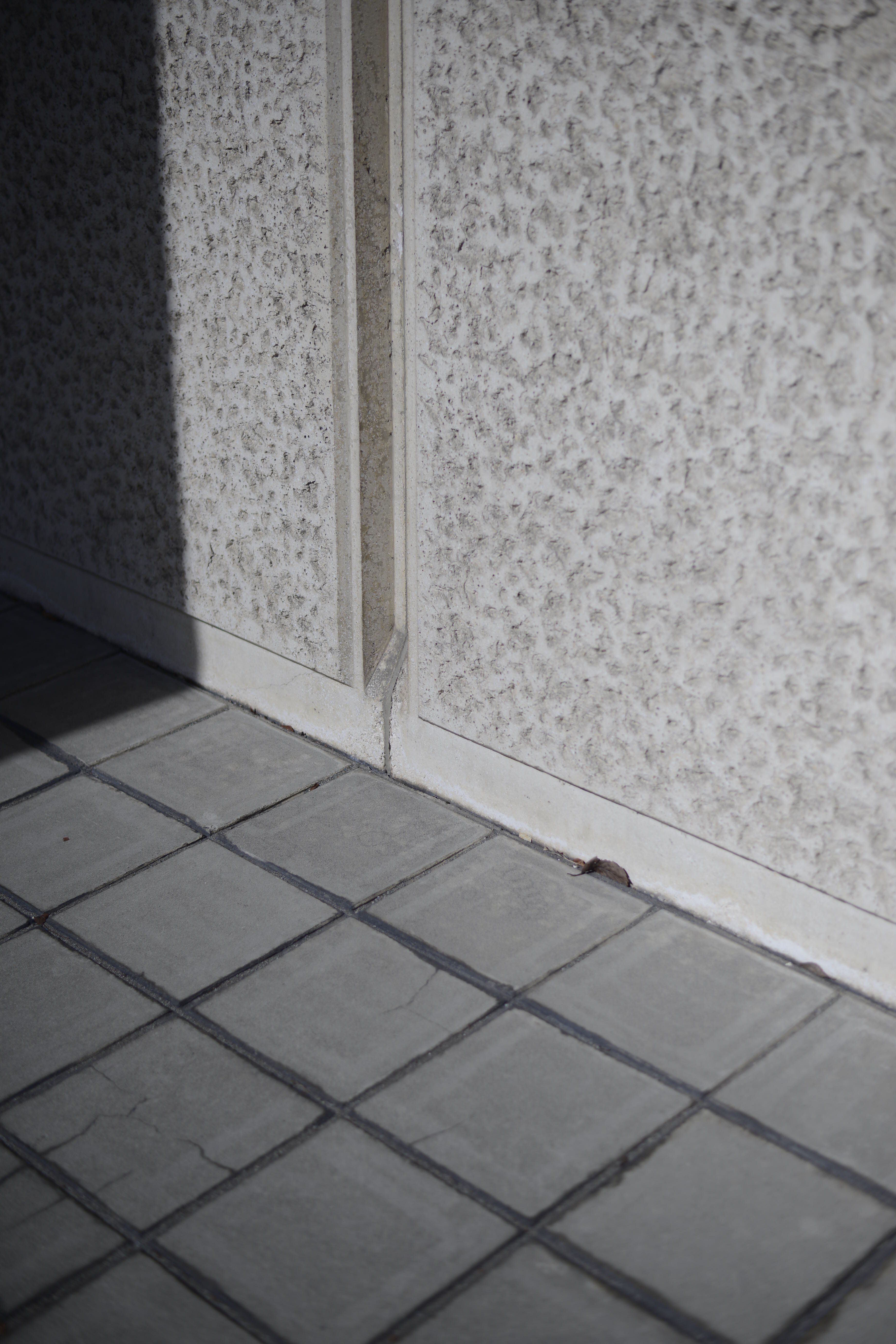 cale for nariwai exclusive /Like beige? Nidom chino no pleats