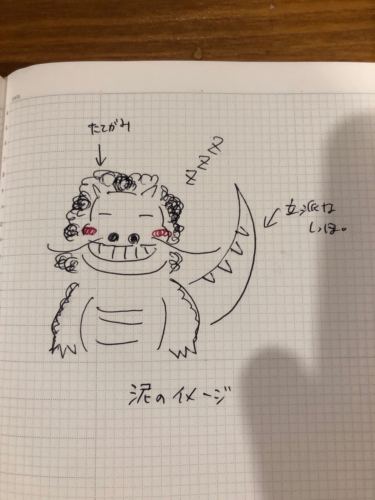 活動歴および当時の関連ビジュアル記録