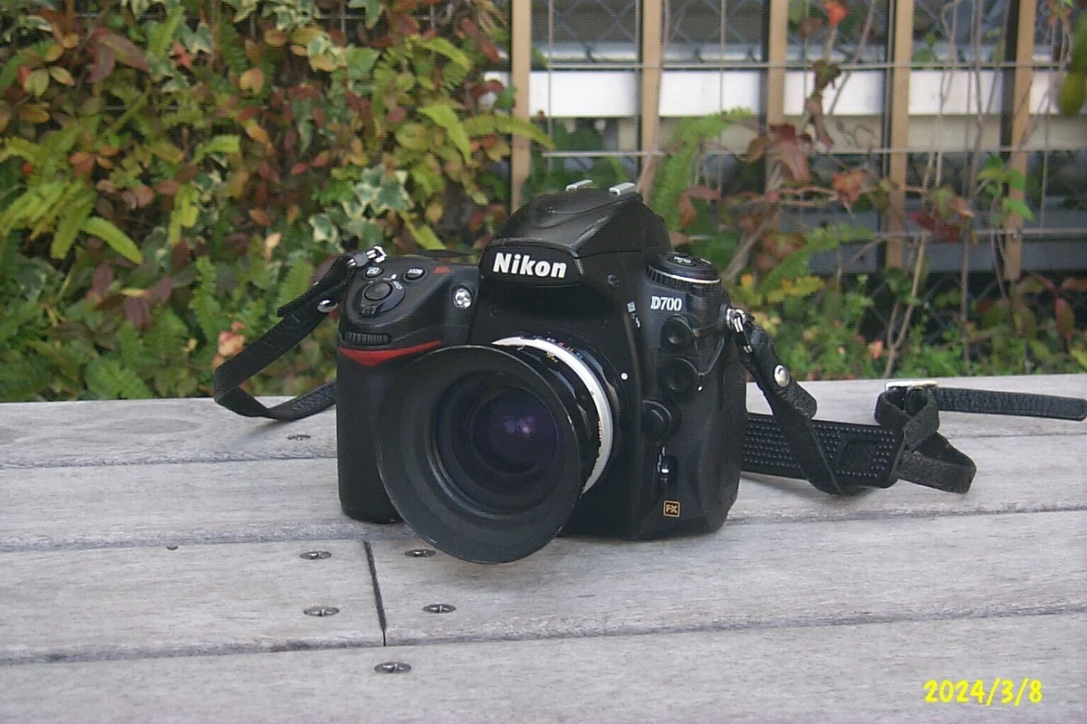 Kodak Digital Science DC260 1998は最初のDigita OS機｜Sven