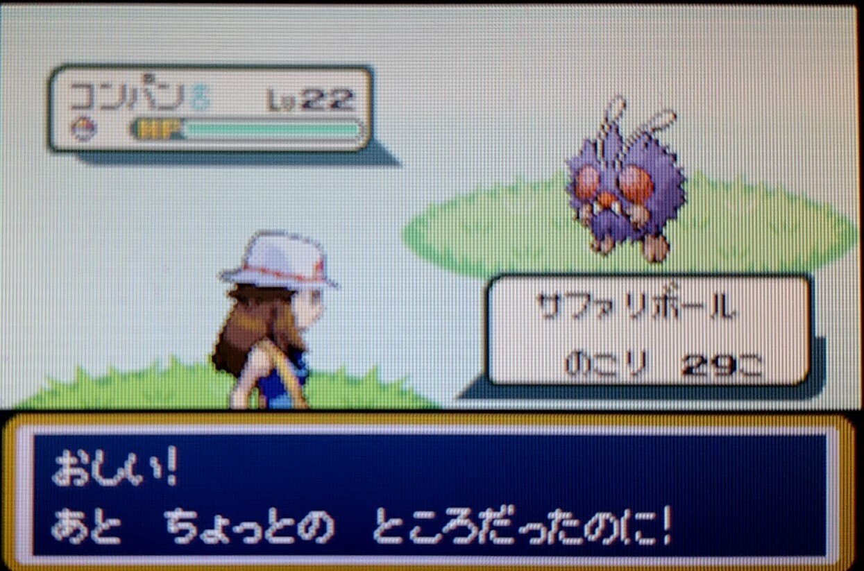 psa10 サファリゾーンでおおあばれ！ 078/066/SV5A/AR イーブイ PSA10 109283641