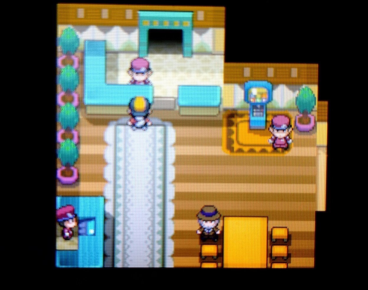 サファリボール入りのポケモンをあつめる｜夢咲ハニワ