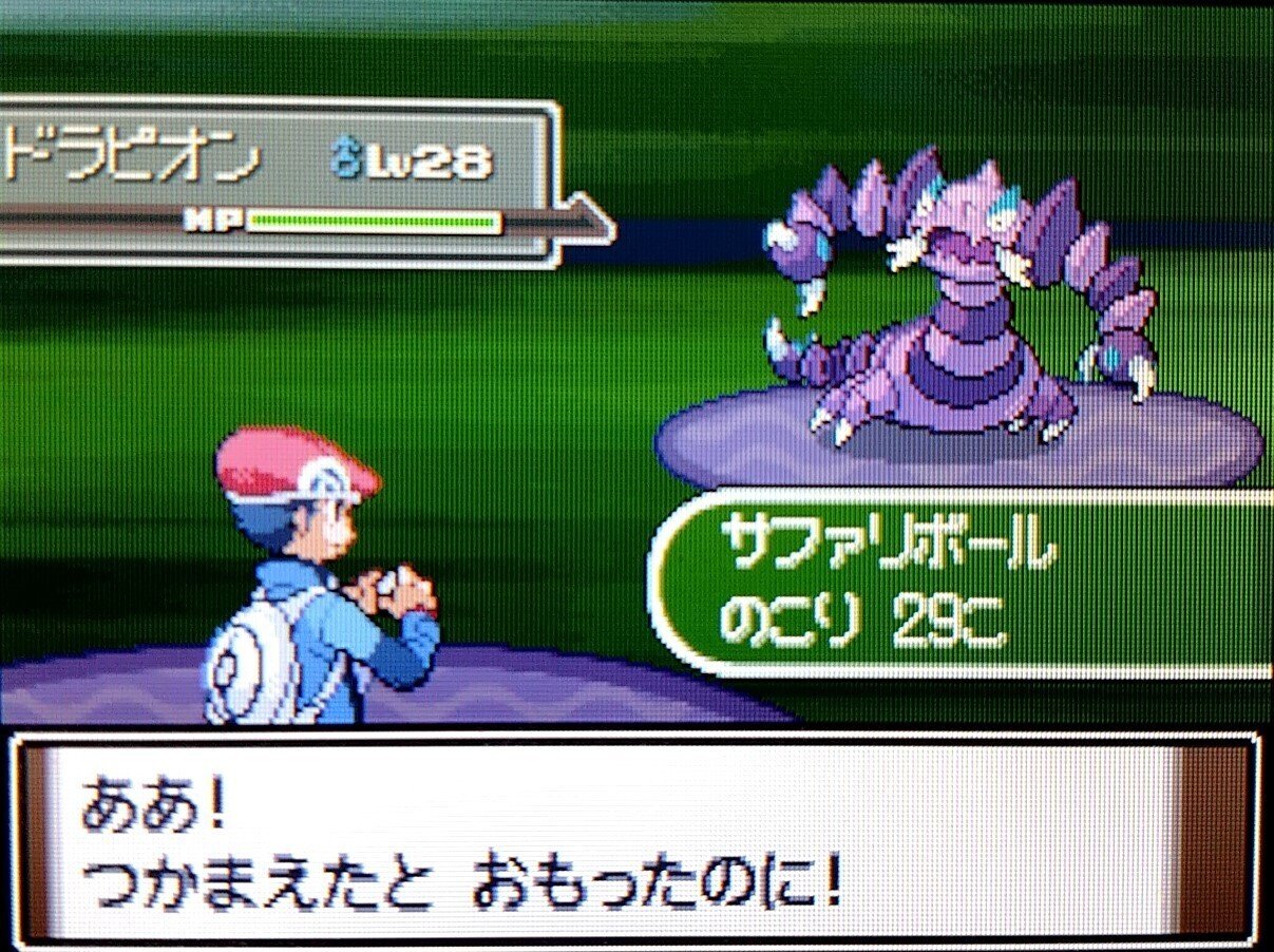 サファリボール入りのポケモンをあつめる｜夢咲ハニワ