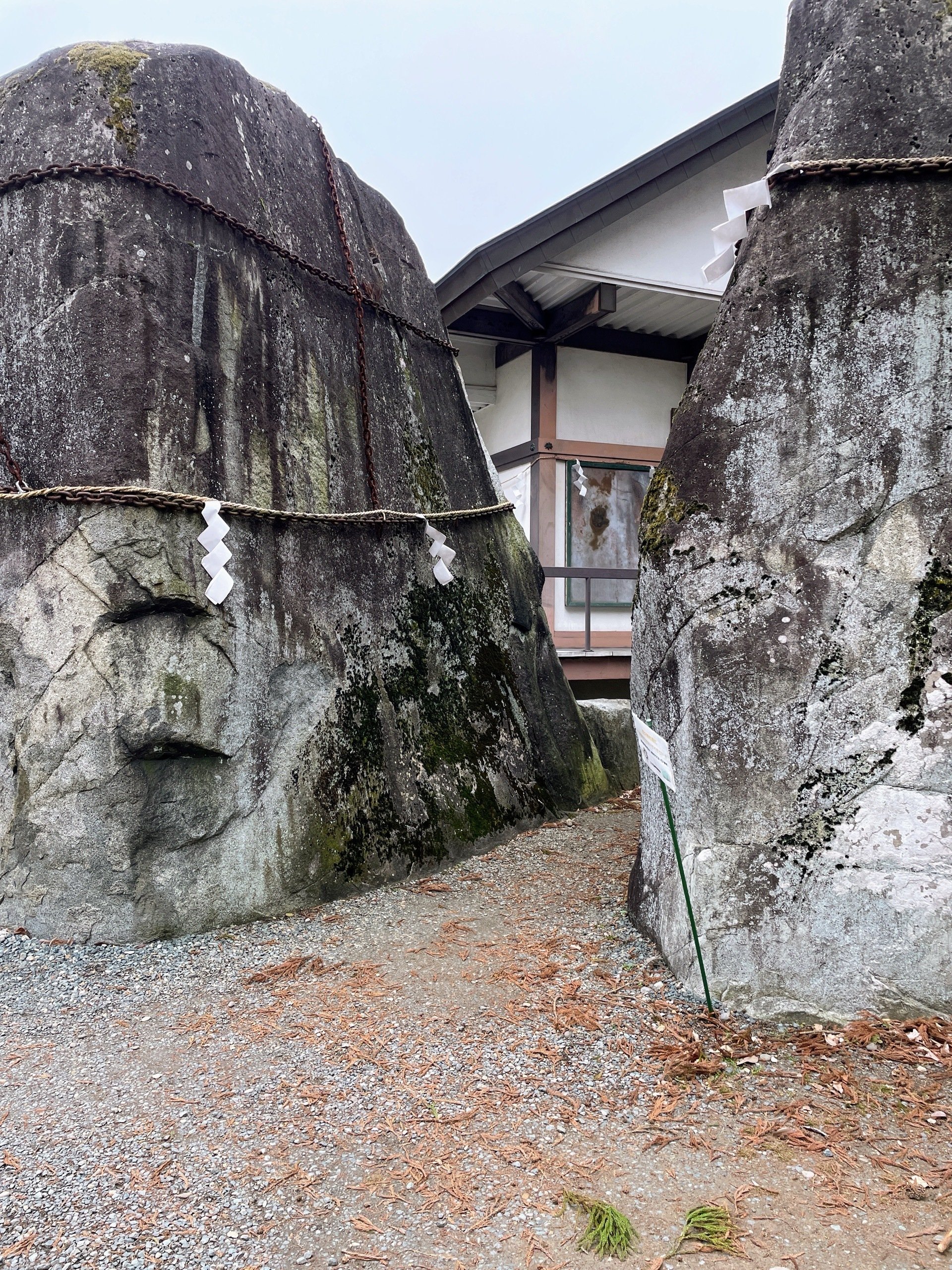 岩手・盛岡「巨石」さんぽ｜美術館とお寺と猫