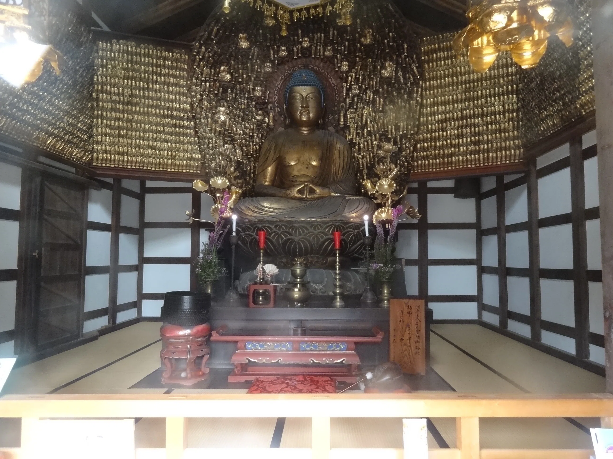 ロケ地/狛犬注目「放生津八幡宮/光山寺」新湊大仏と三千体佛【北陸