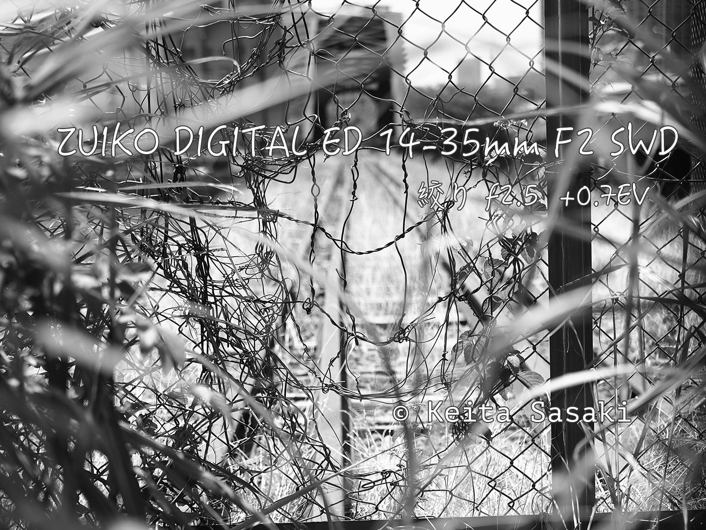 デジタルのモノクロ｜佐々木啓太