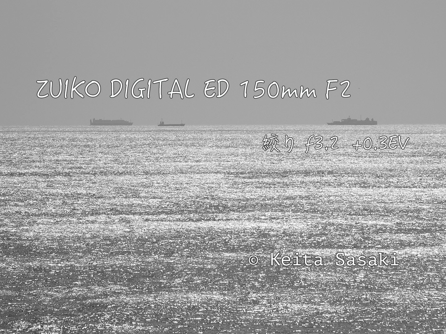 モノクロ 模写 Zfcで撮る vol.1「モノクロスナップ×水族館」全19枚｜ねこ