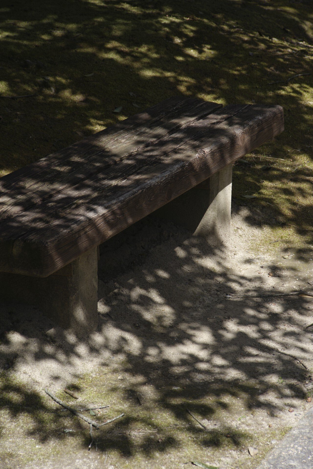 高倍率ズーム出世作(J limited 01 / smc PENTAX-FA 28-200mmF3.8
