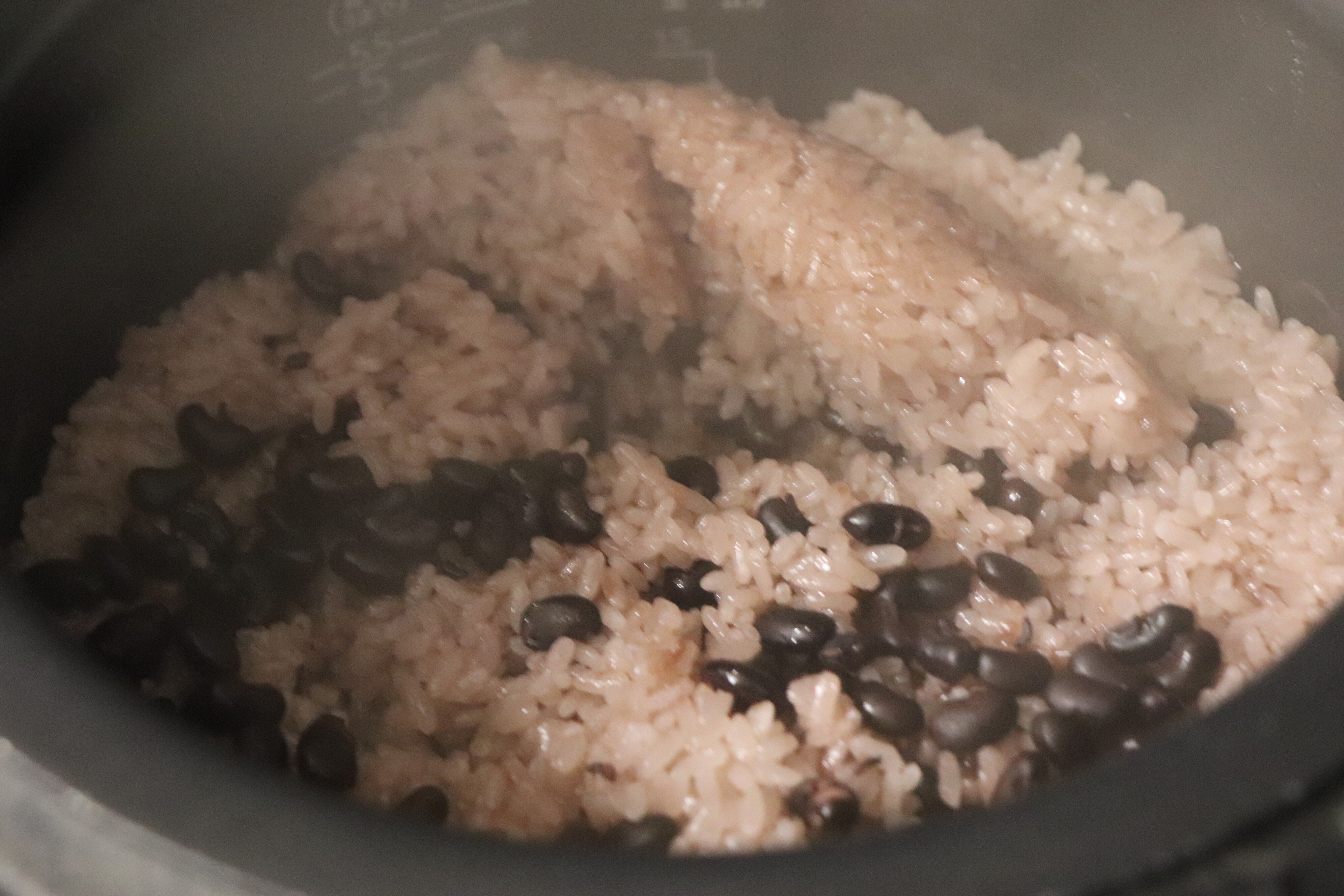 てんこ小豆で広まった初潮｜ゆきんこ