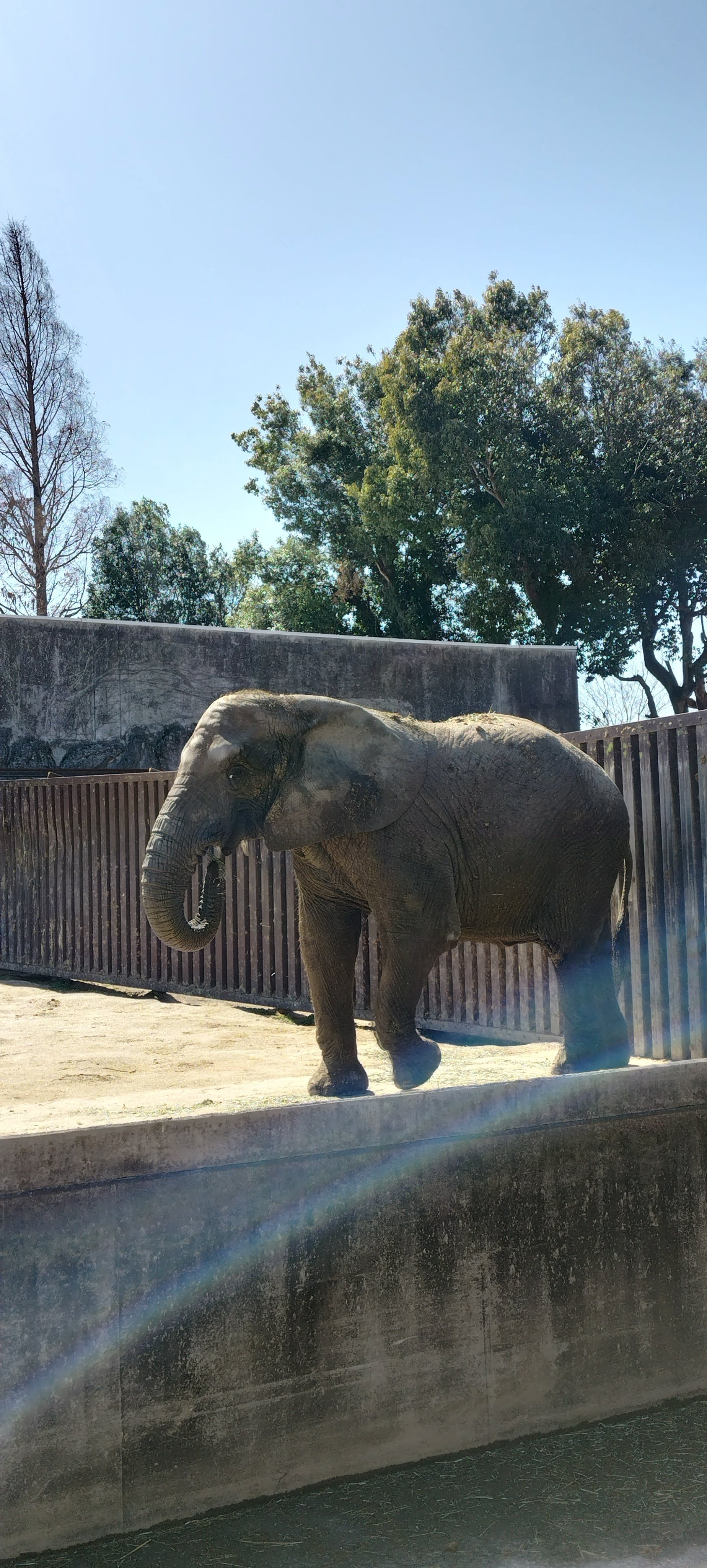 東武動物公園（埼玉県）｜真咲ともか