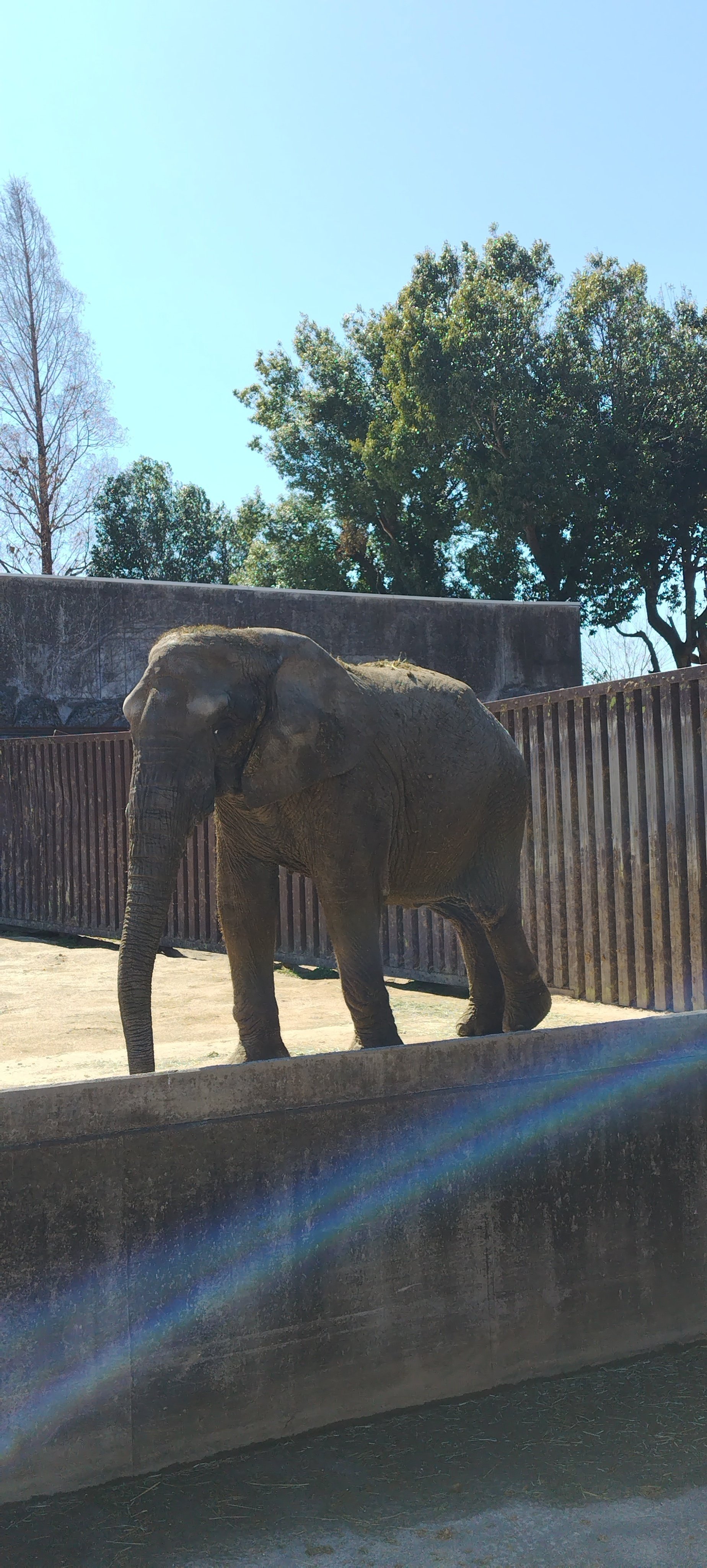 東武動物公園（埼玉県）｜真咲ともか
