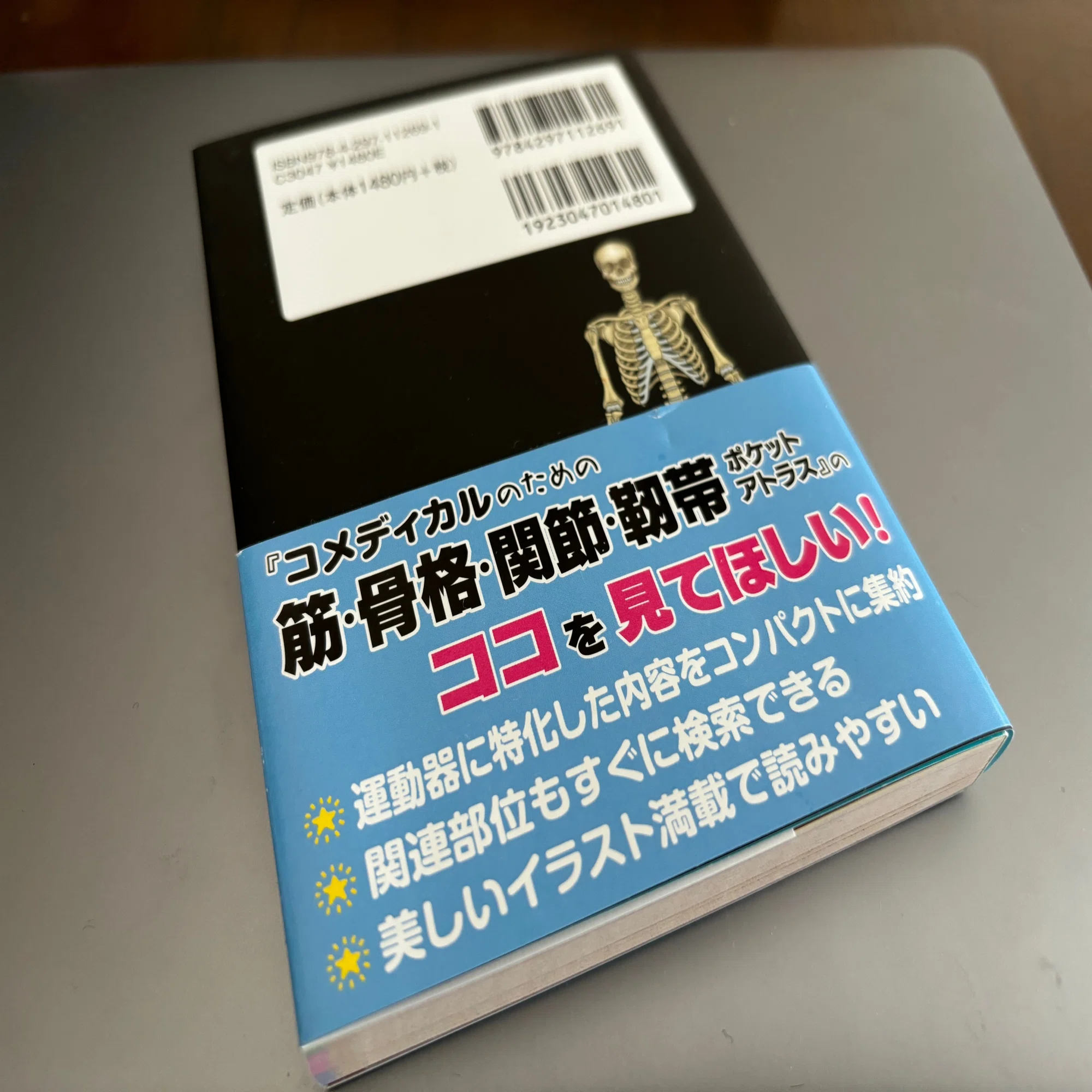 ブックレビュー】コメディカルのための筋・骨格・関節・靭帯 ポケット 