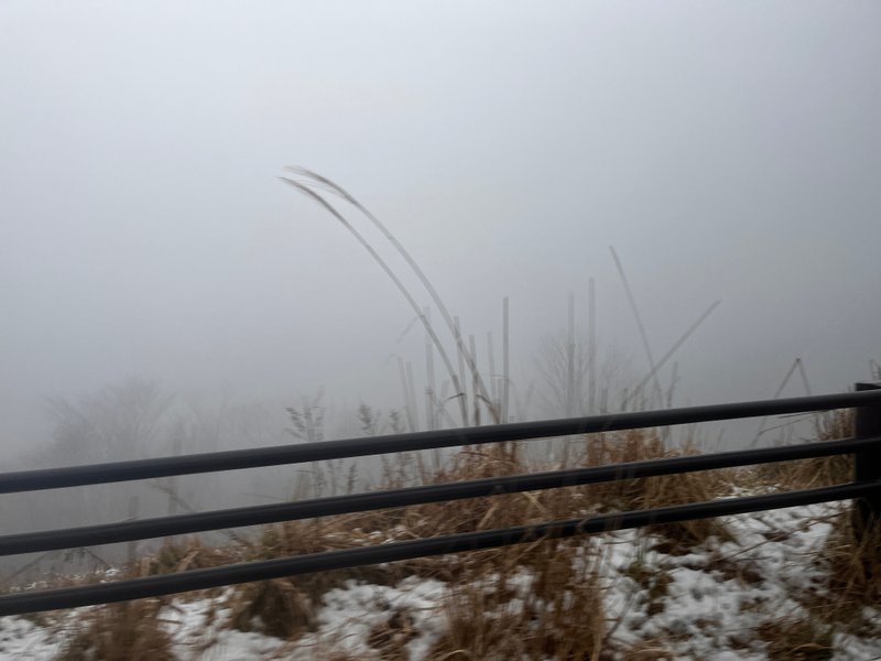 箱根の山道は霧がすごかった