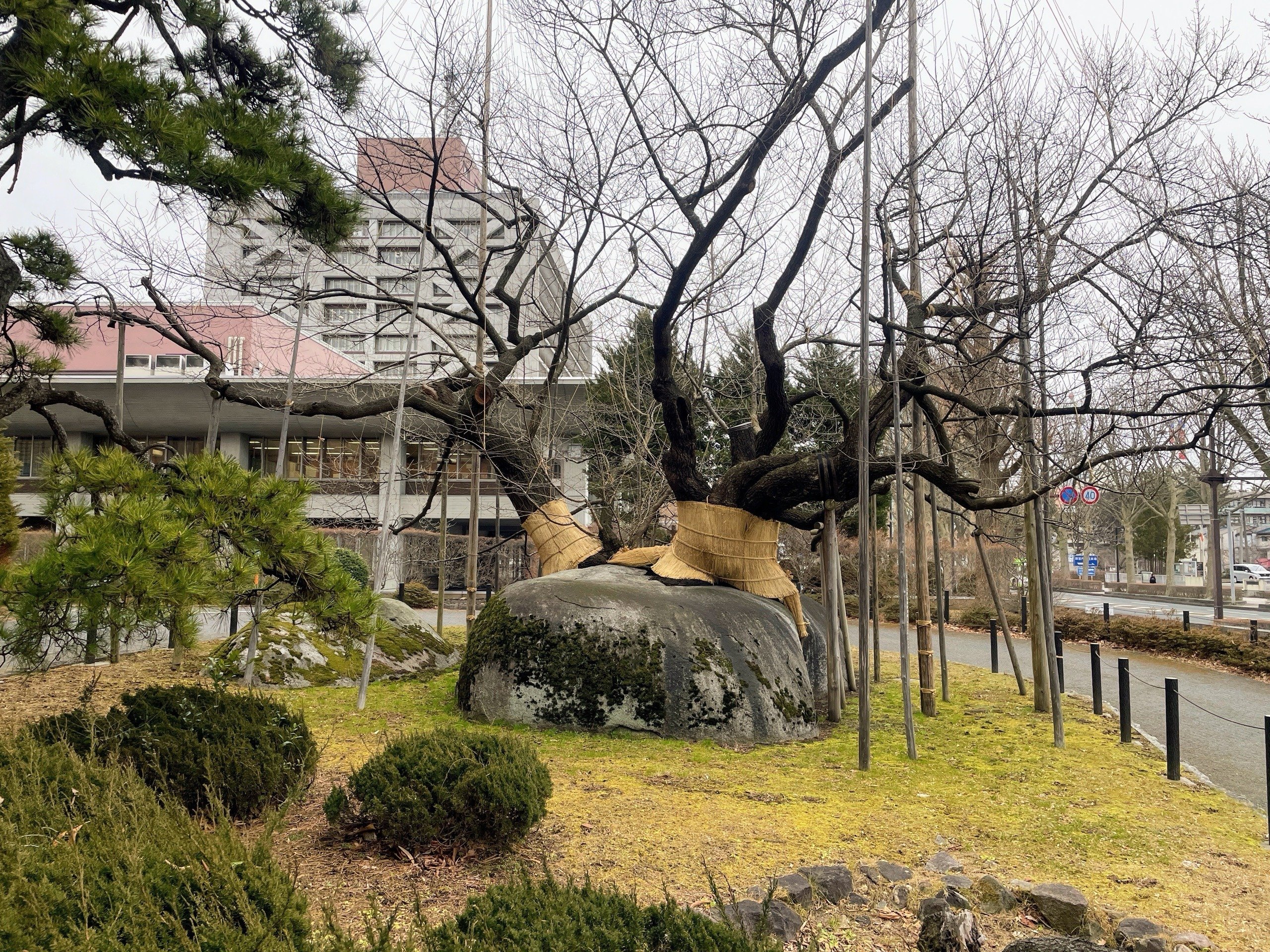 岩手・盛岡「巨石」さんぽ｜美術館とお寺と猫