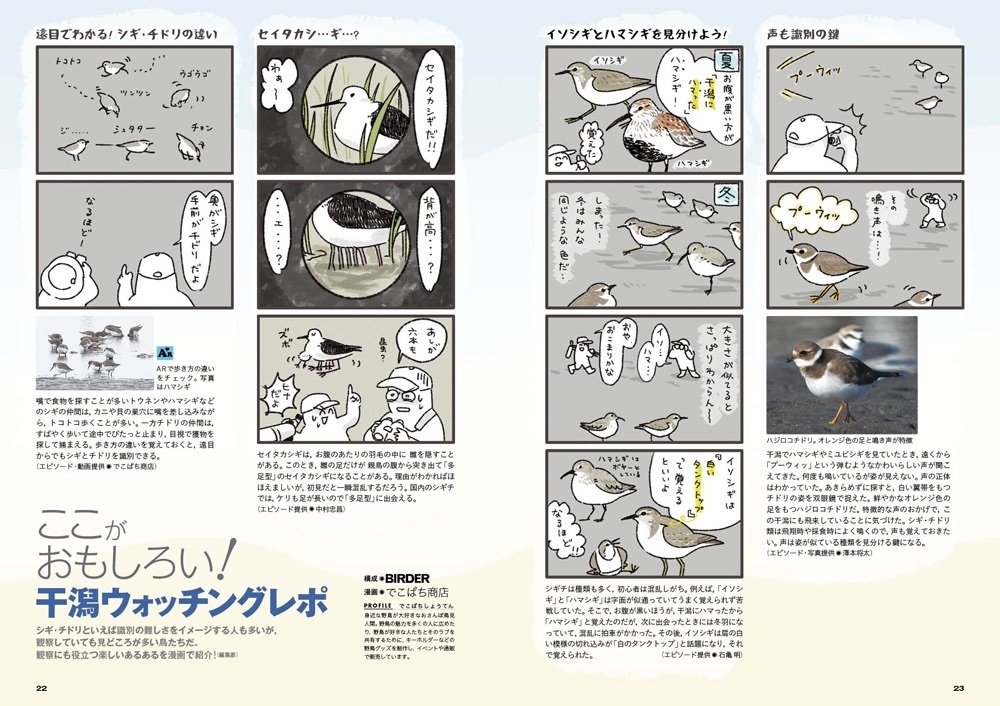 BIRDER4月号の見どころ｜ブンイチ（文一総合出版）