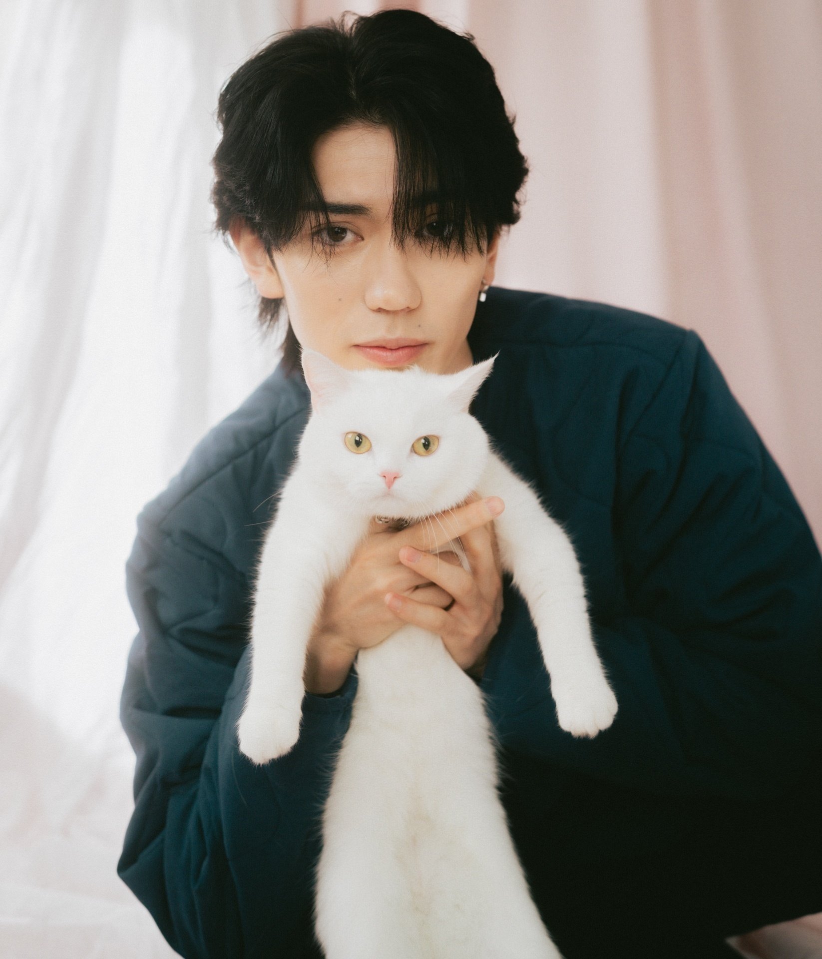 スイカからちょこん♡白ねこちゃん