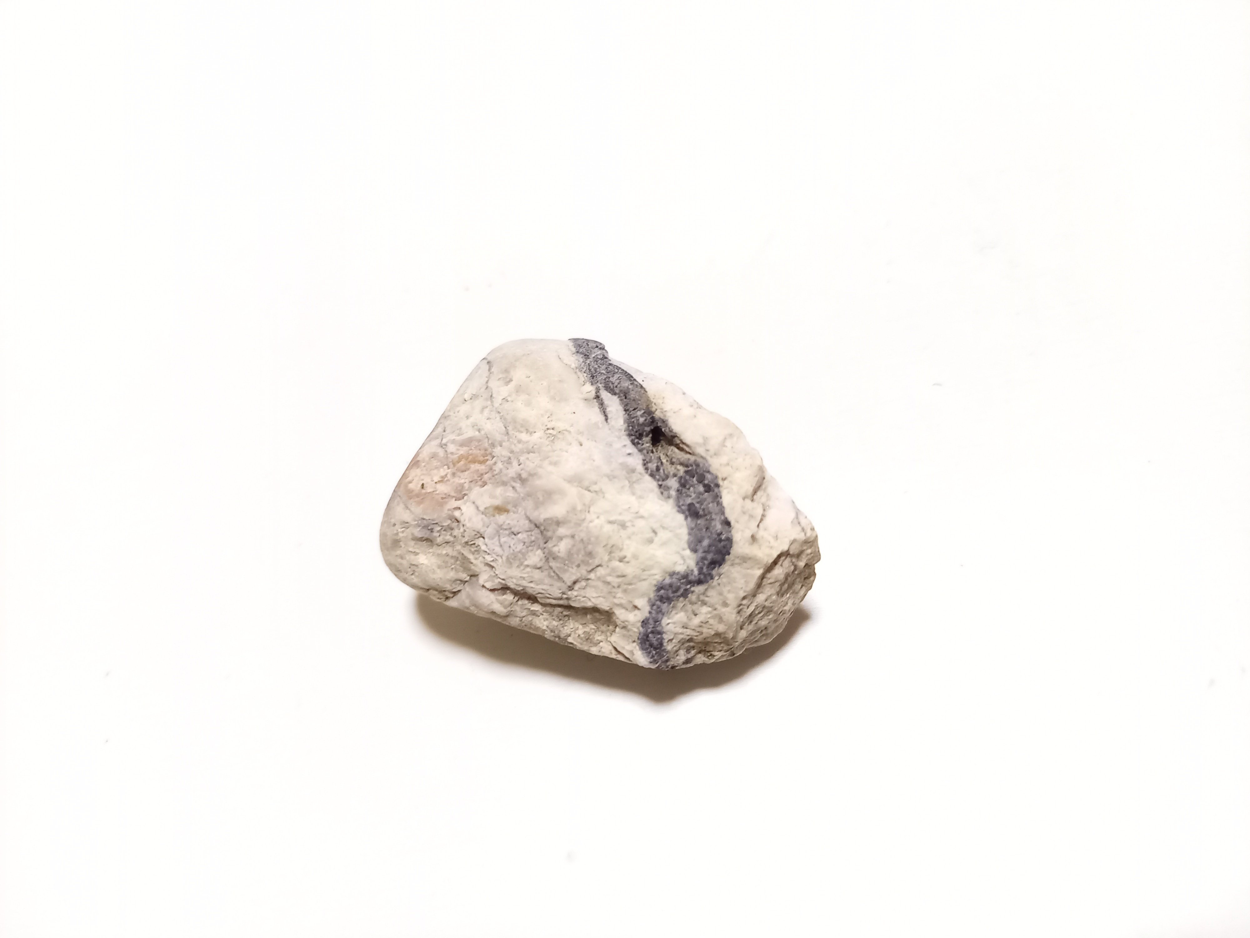 石を拾ってきた日｜琴花