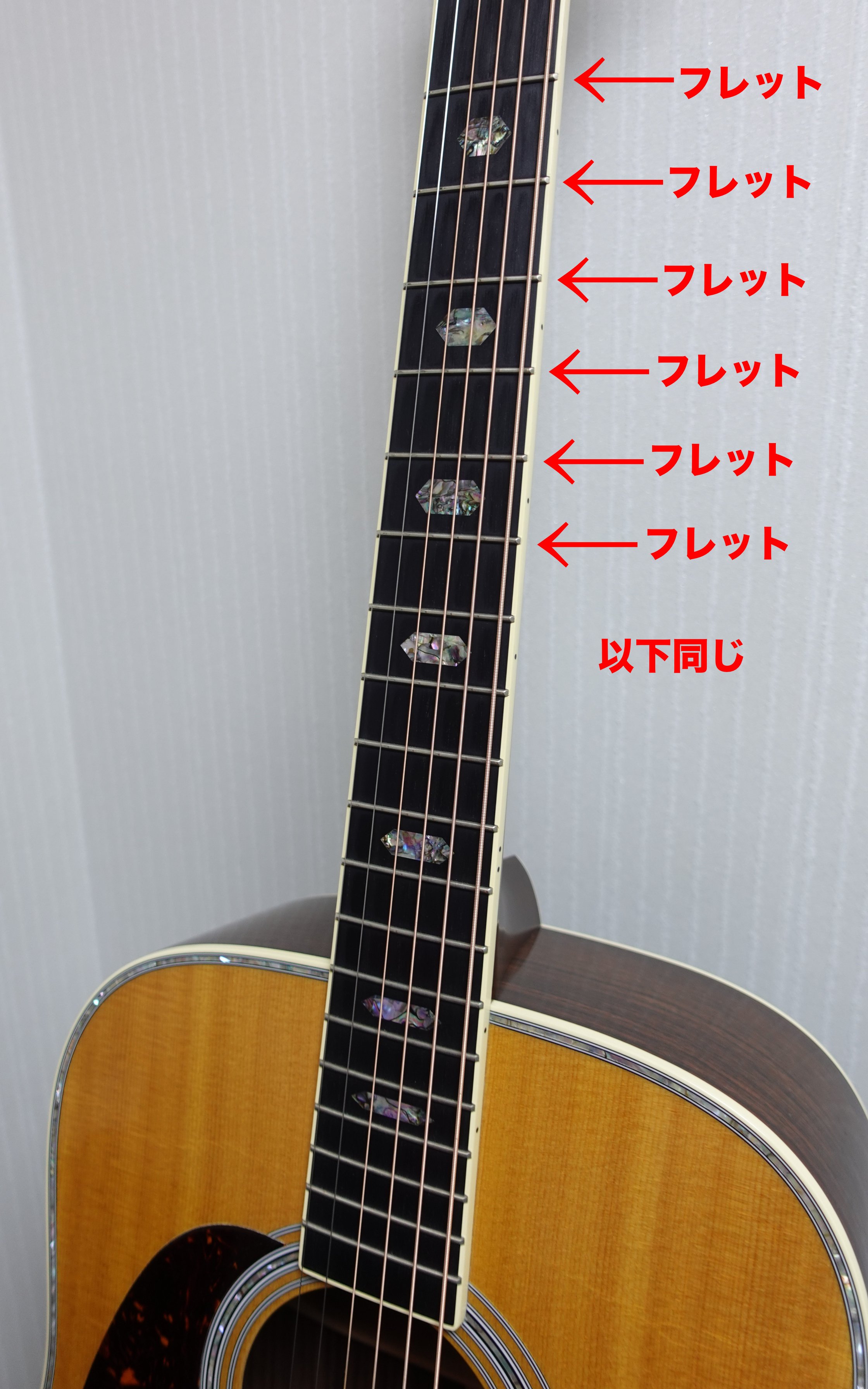 右から2番目　楽器 弦楽器、ギター　左利き 右から2番目 楽器 弦楽器、ギター 左利き