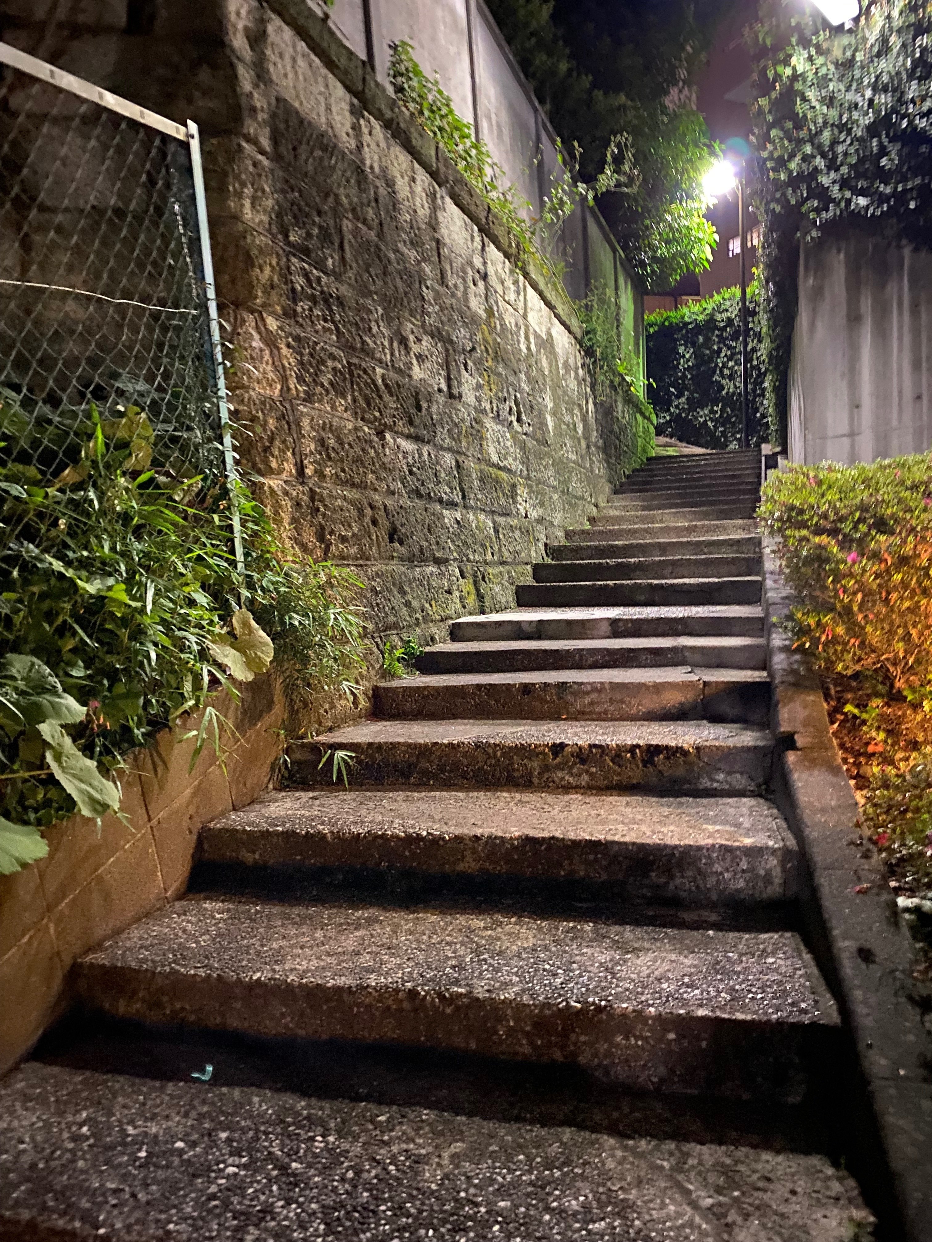 東京路地紀行 37 港区乃木坂｜露塵散