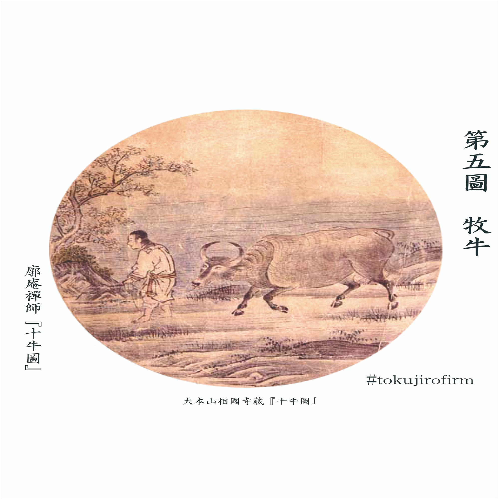 廓庵禪師『十牛圖』 第五圖～牧牛(ぼくぎゅう)｜tokujirou 