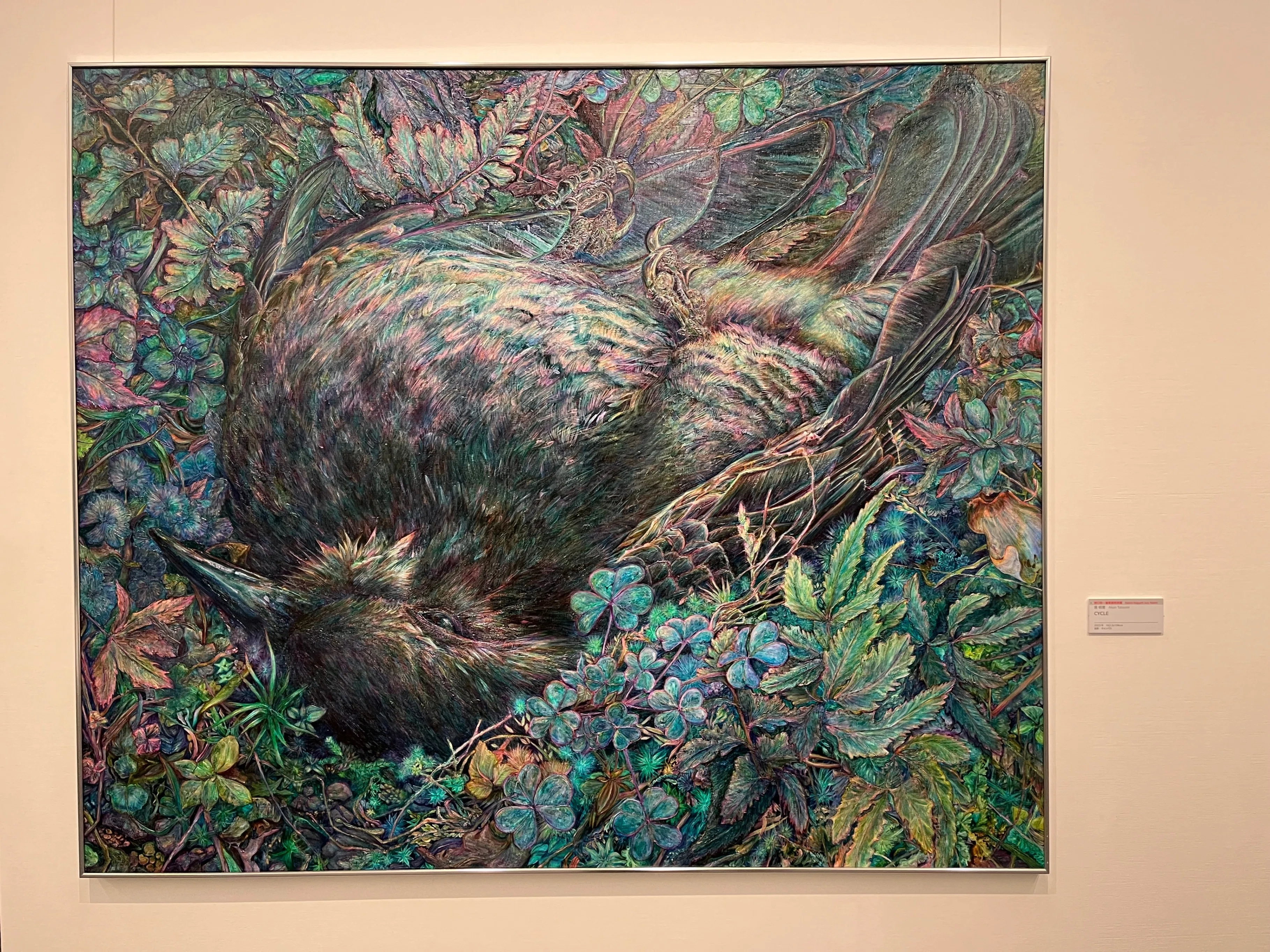 FACE展2024｜Asuka