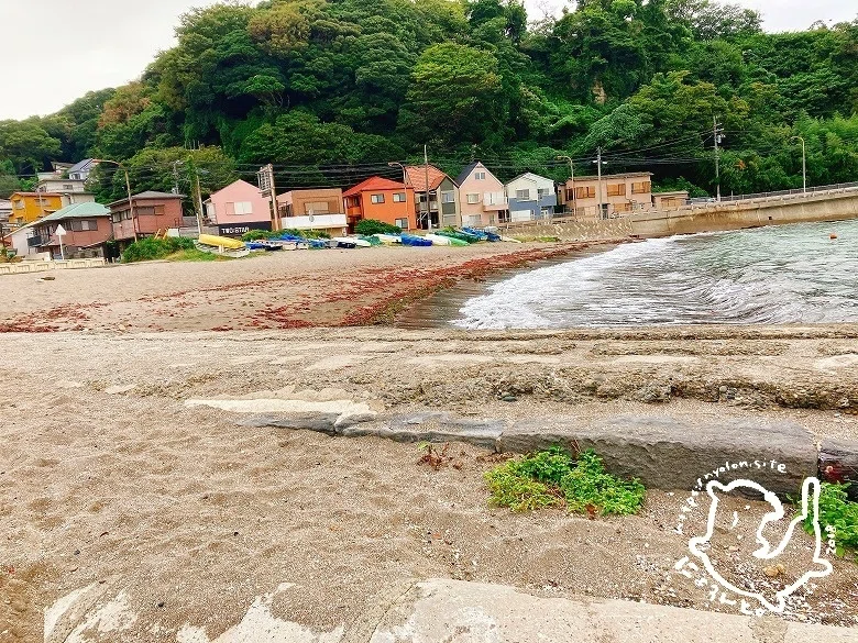 シーグラスと陶片と巨大アカニシ！横須賀・観音崎海水浴場で 