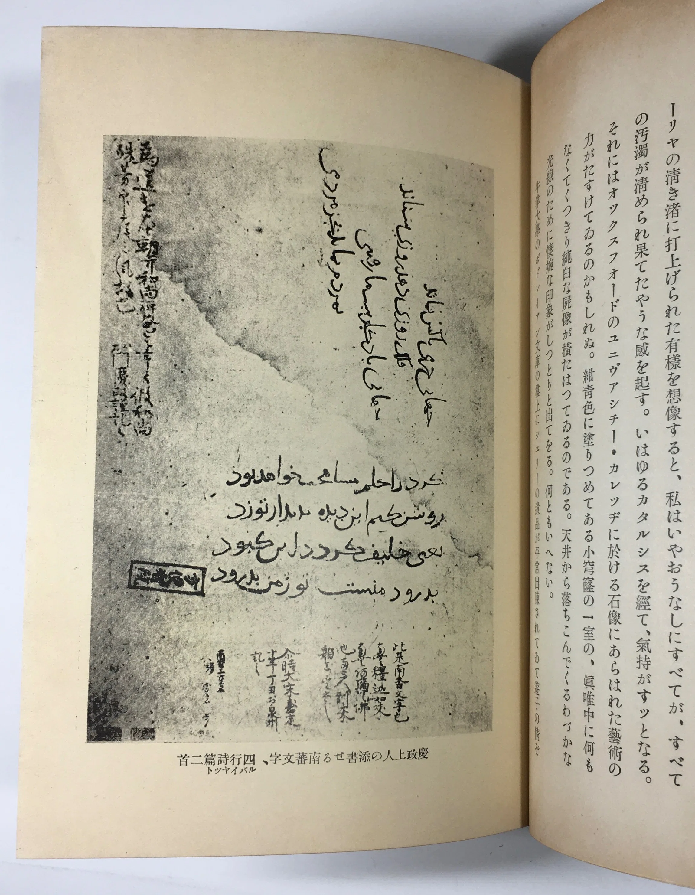ルバイヤットの一齣が原文のままで我邦に渡来したと云ふことは何とも