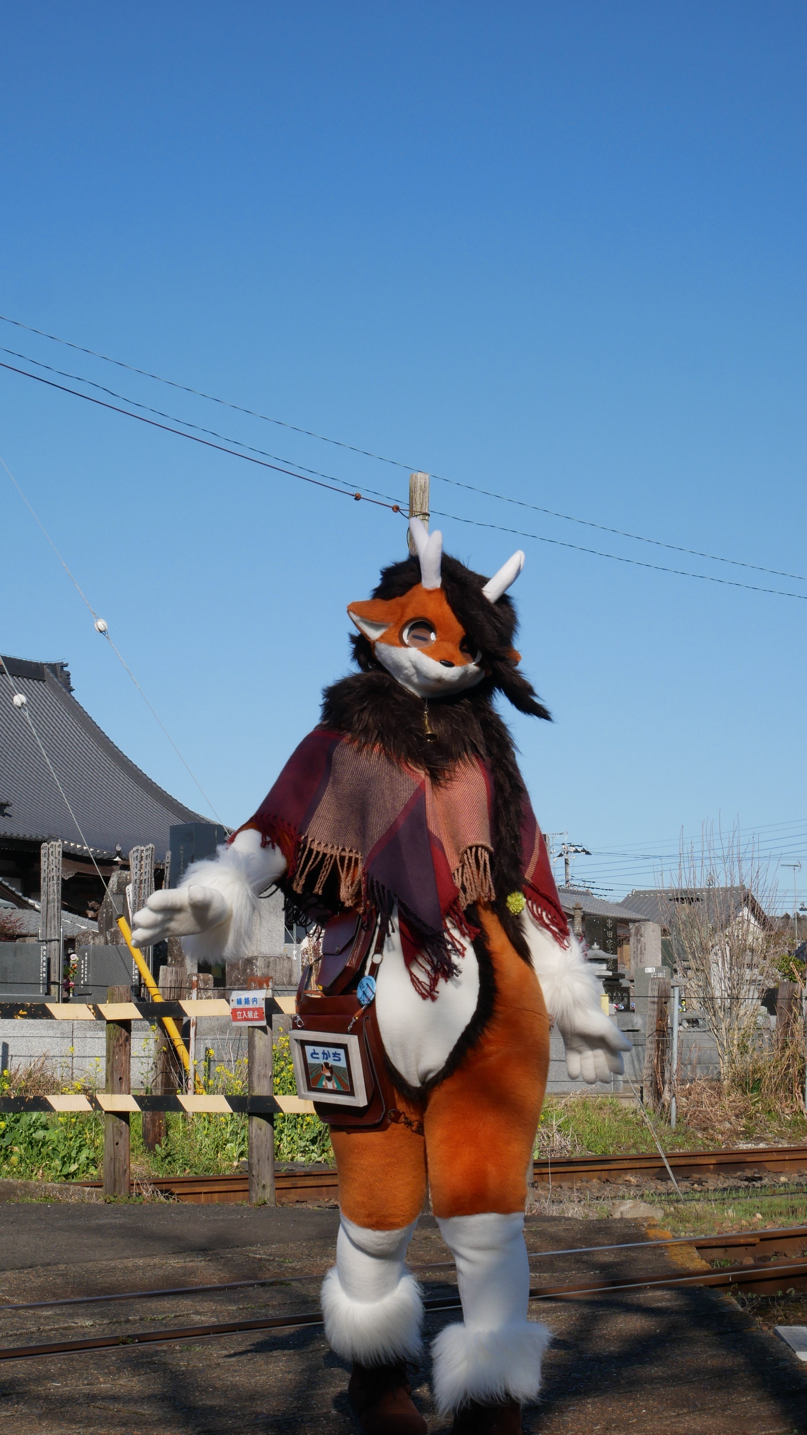 ケモノさんとハネムーンしてきました｜板風