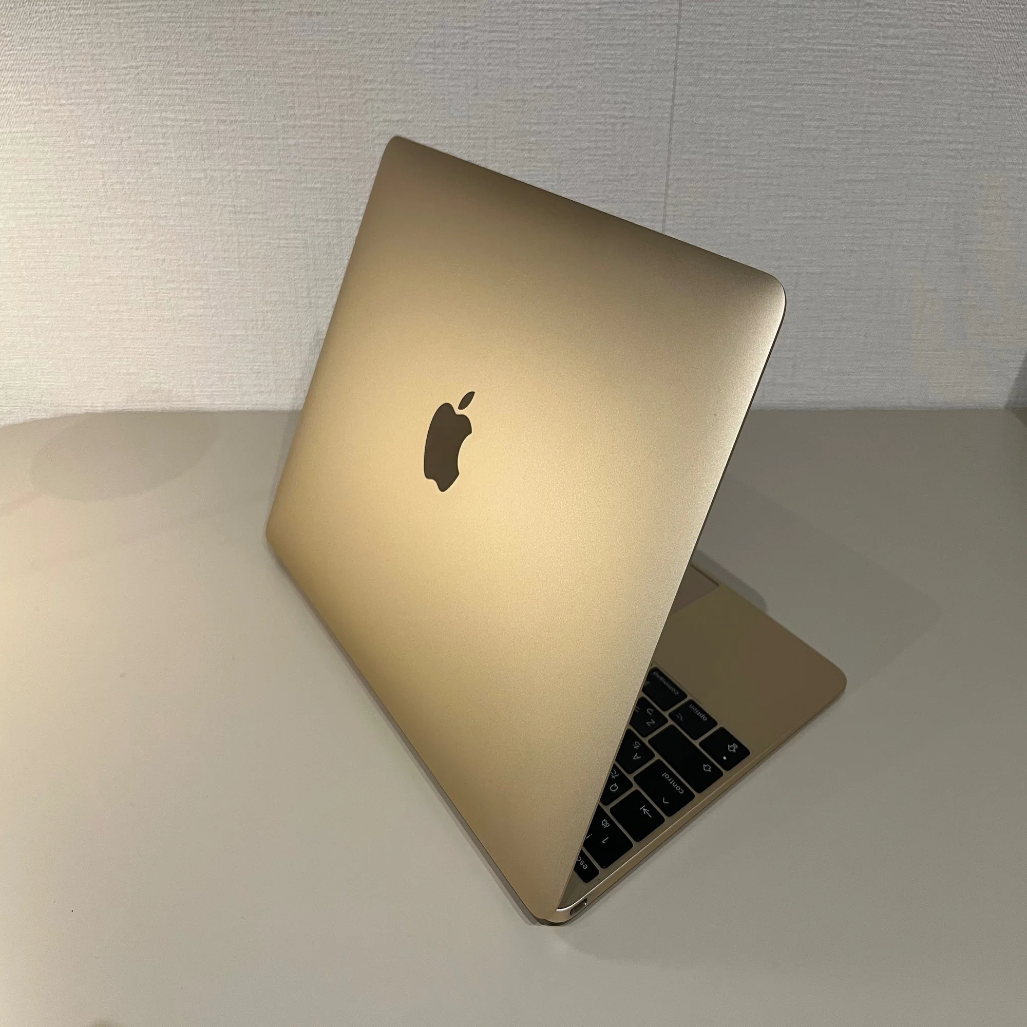 Tech】2024年にMacBook 2017を買ってみた／PC紹介「MacBook 2017 
