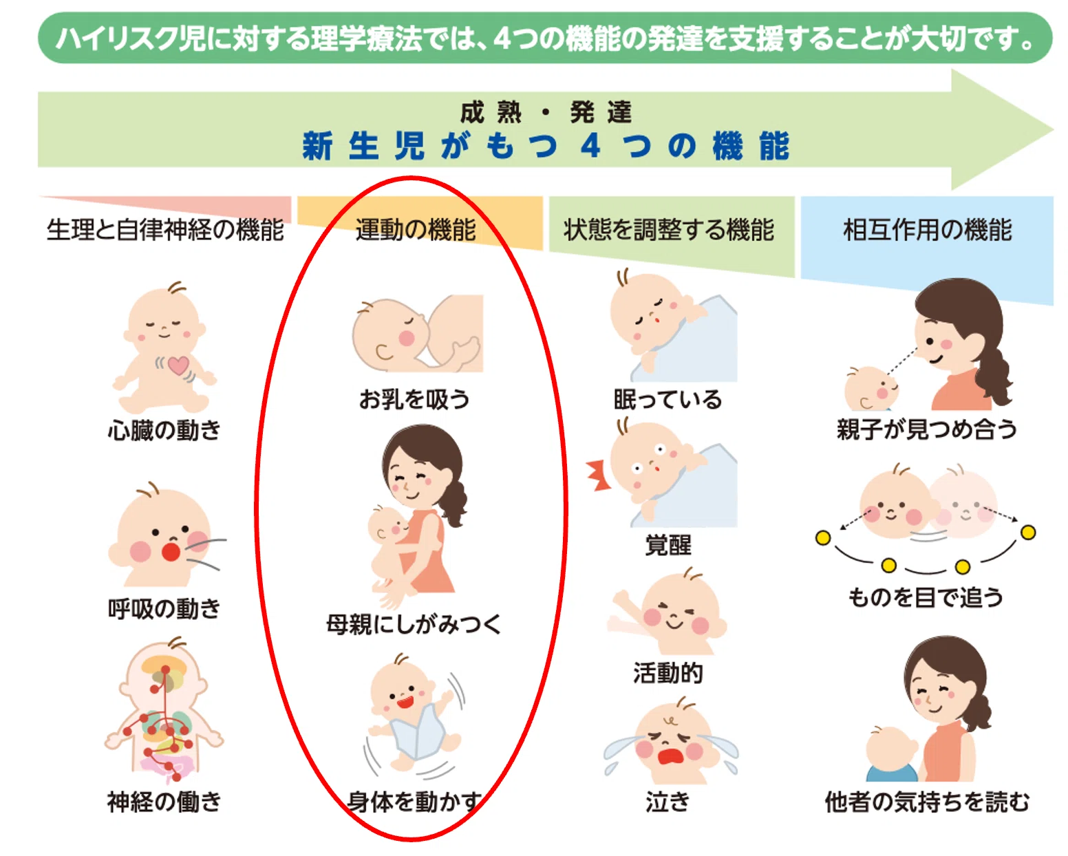 第59回理学療法士国家試験 午後46−50の解説｜Sixty_valleyのページ