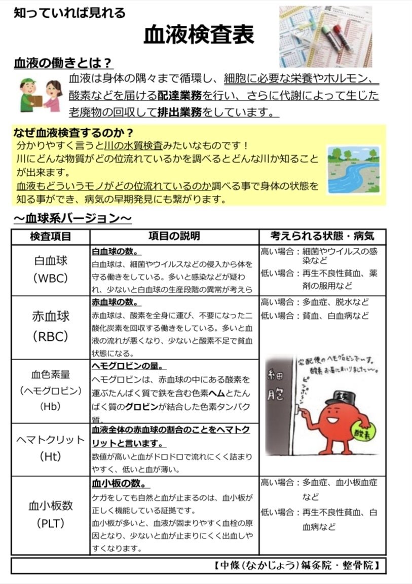 知っていれば見れる血液検査表！｜地方移住した鍼灸師・柔道整復師