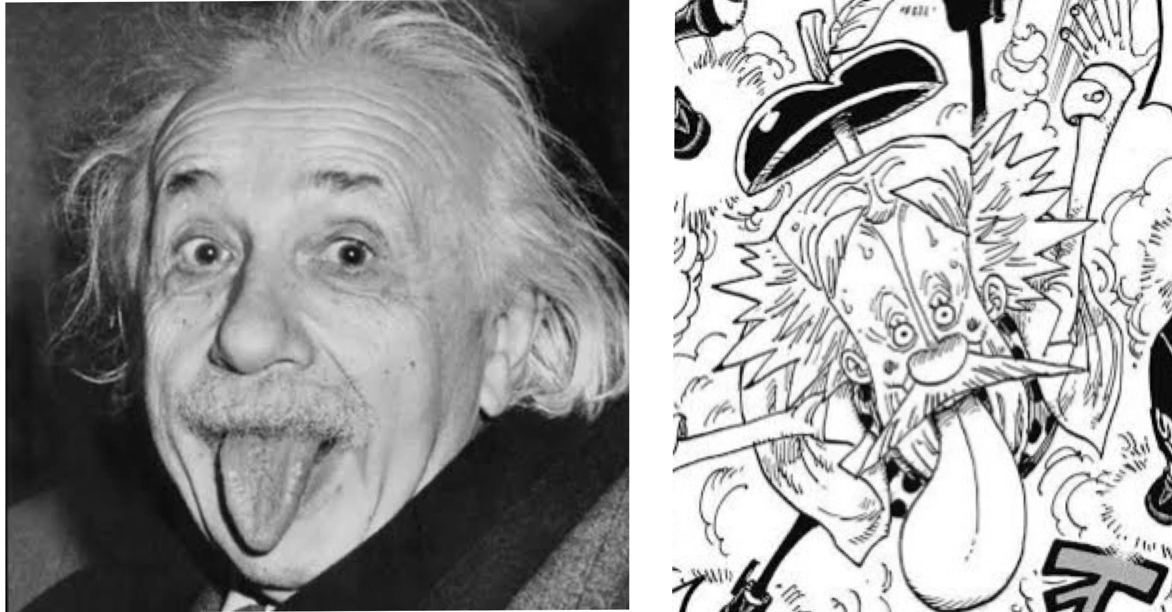 ONE PIECE✖️アインシュタイン〜2人の天才科学者が明かした世界最強の