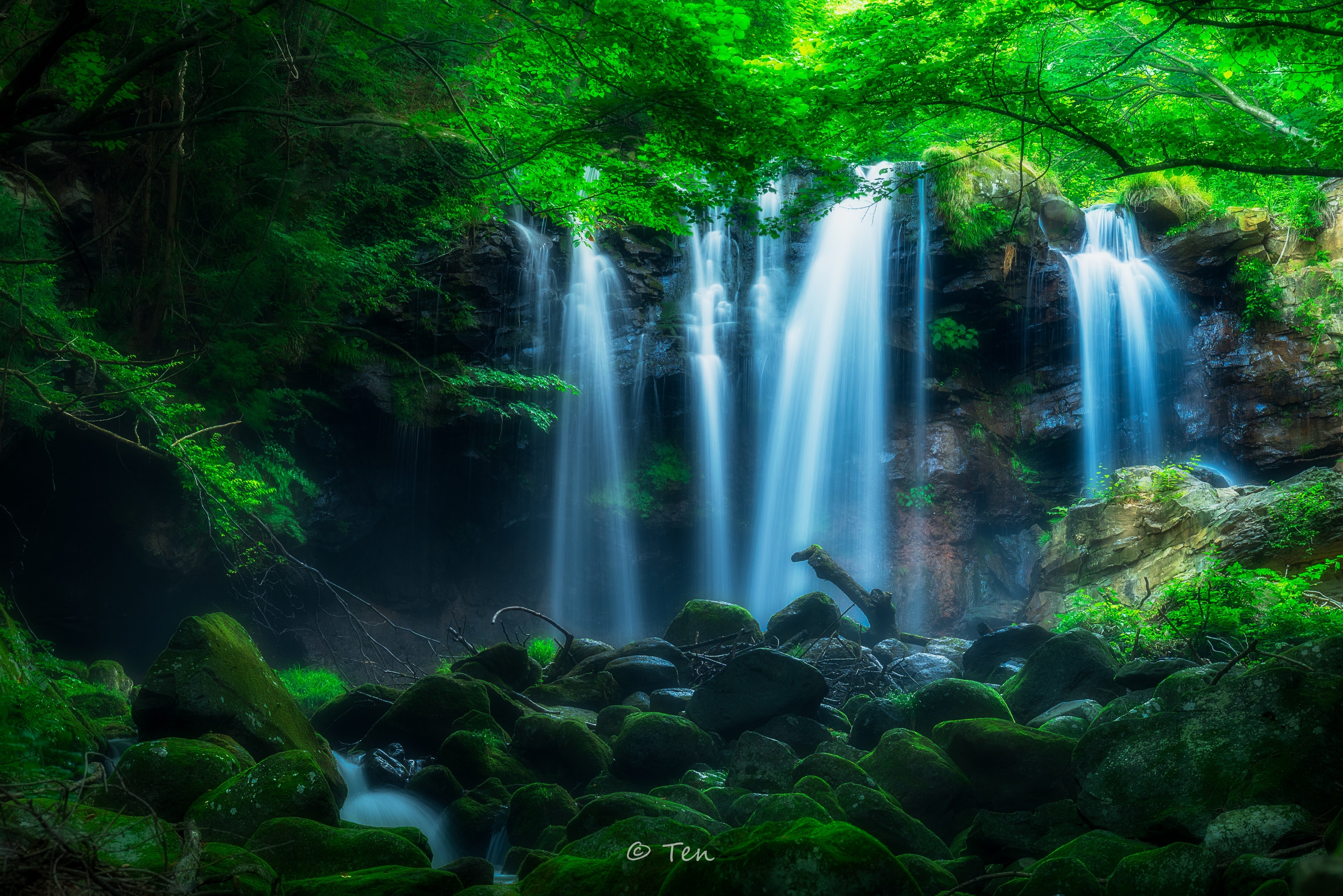所有するNIKKOR Z レンズについて、作例込みレビュー｜てんけー