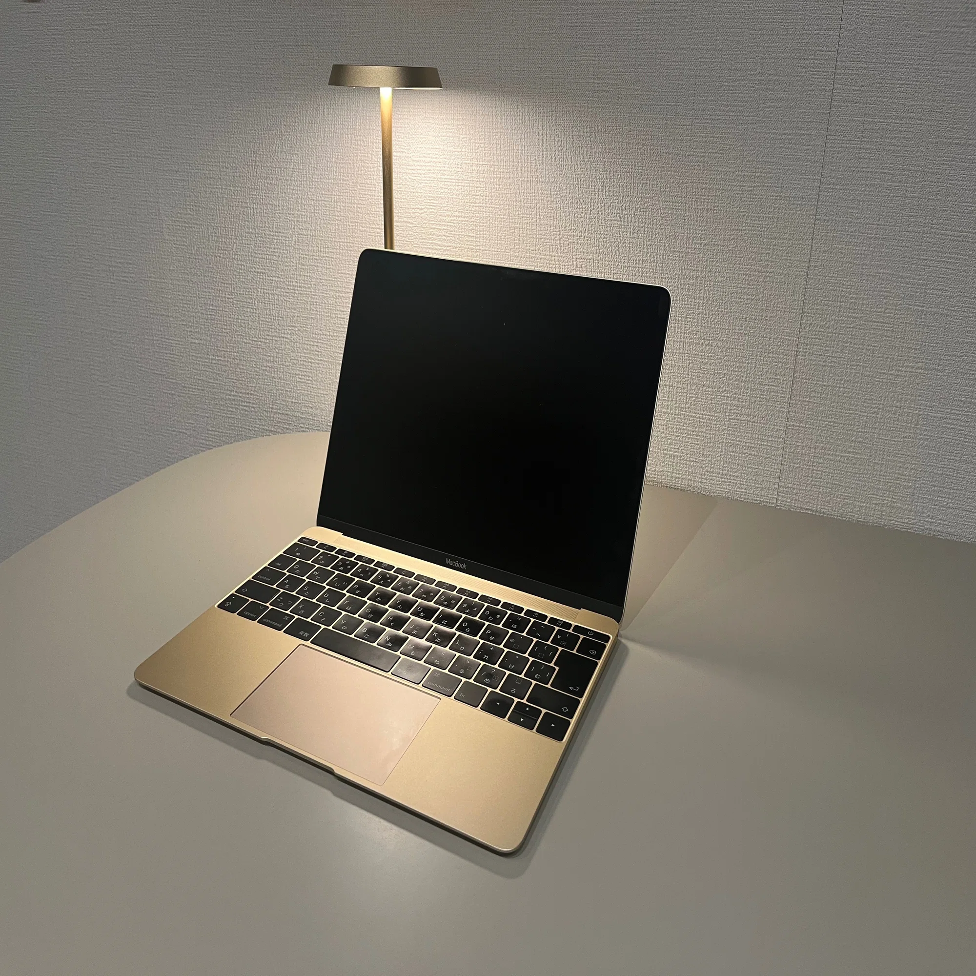Tech】2024年にMacBook 2017を買ってみた／PC紹介「MacBook 2017 