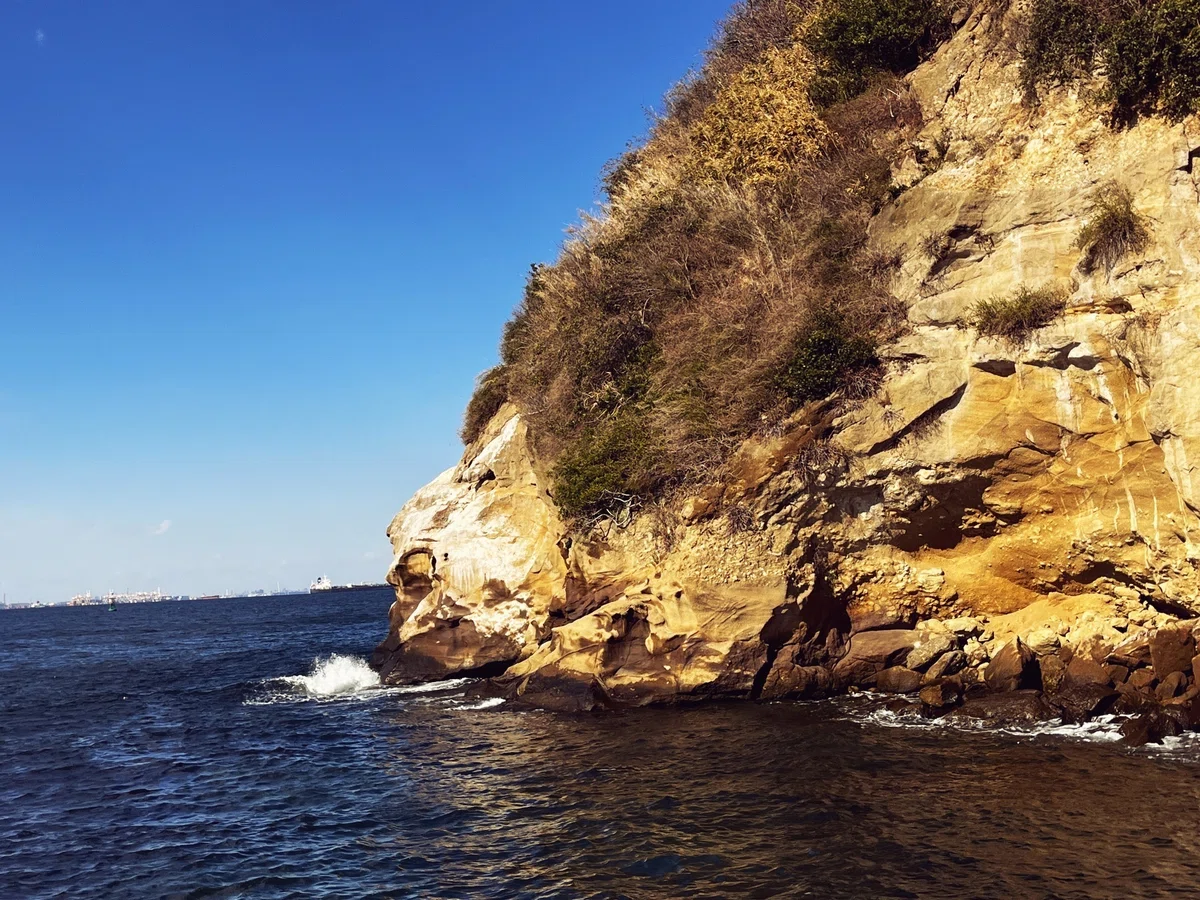 猿島 ライオンみたいな岩
