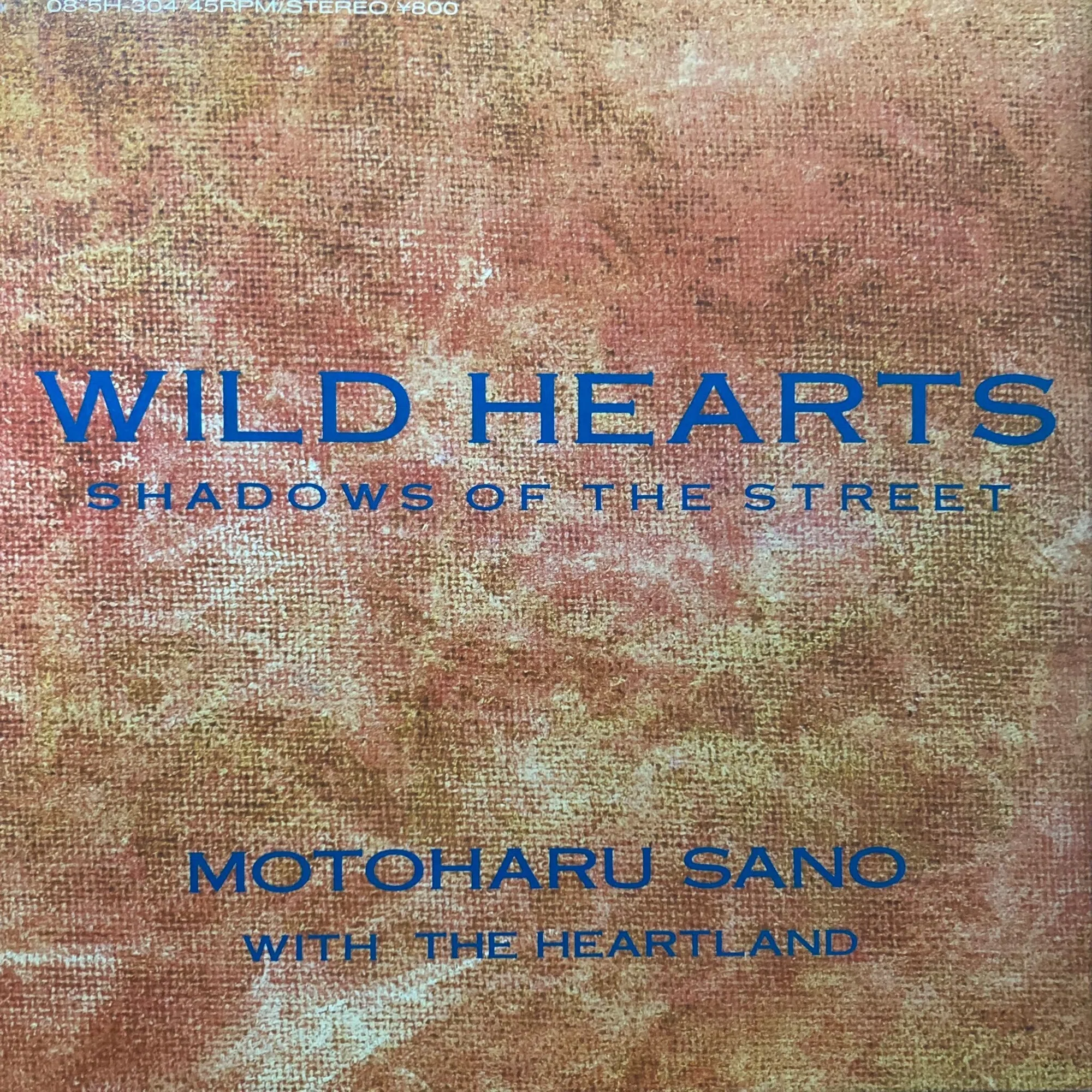 佐野元春with The Heartland Café Bohemia Part.2｜bluebeat