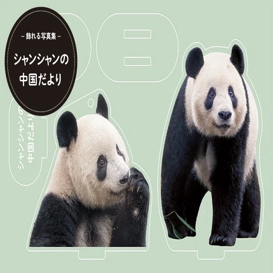 シャンシャンの雪あそび』『飾れる写真集 シャンシャンの中国だより
