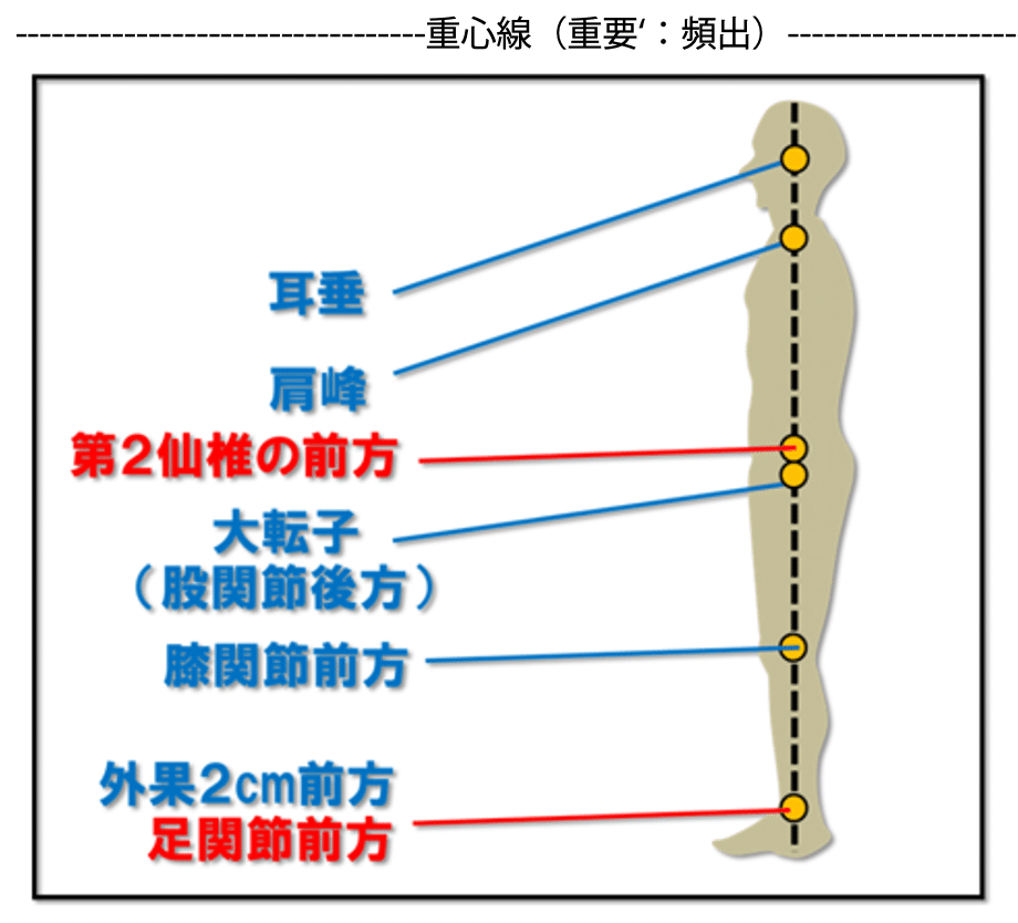 第59回理学療法士国家試験 午後71−75の解説｜Sixty_valleyのページ