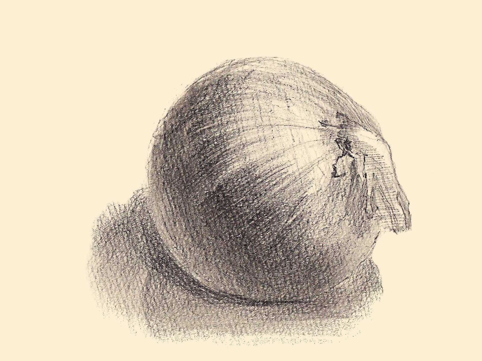 絵画　絵　振り返り　デッサン　スケッチ　鉛筆画　美術品　アート デッサンの基本：鉛筆を使った技術とコツ｜中山眞治