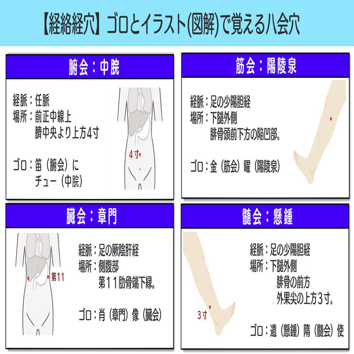 臨床経絡経穴図解 新版 経絡経穴概論 第2版2刷→第2版3刷の変更・修正点 | 医道の日本社