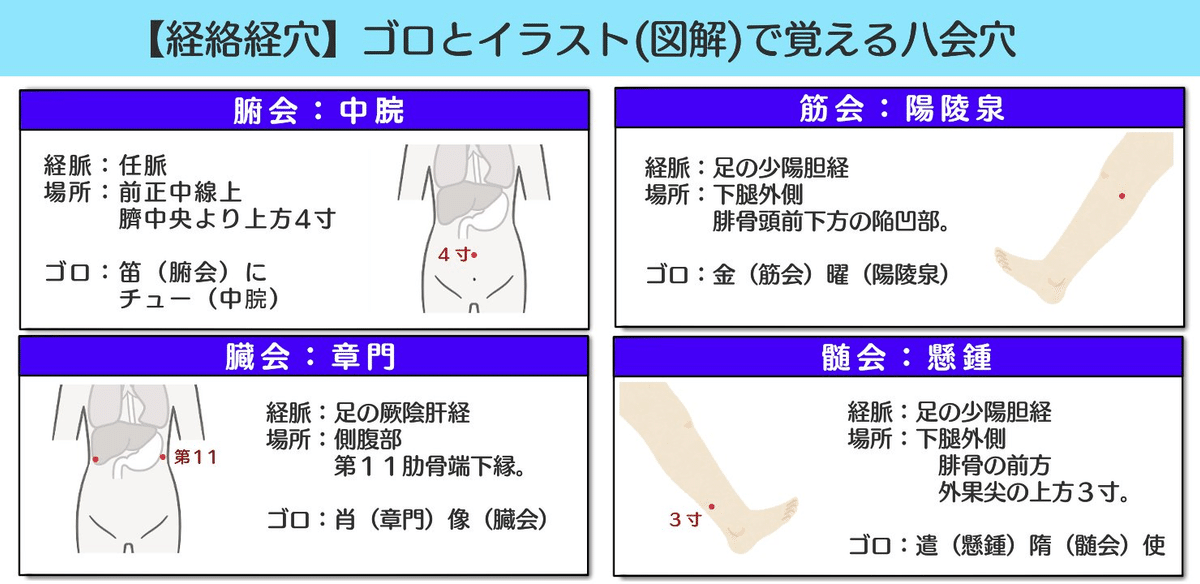 臨床経絡経穴図解 臨床経絡経穴図解 第2版 | 山下 詢 |本 | 通販 | Amazon