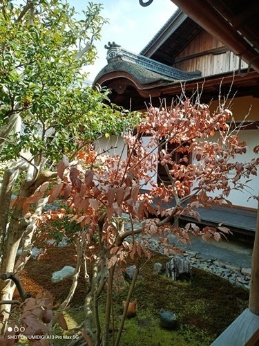 忘れへんうちに Avant d'oublier: 奈良町 今西家書院1