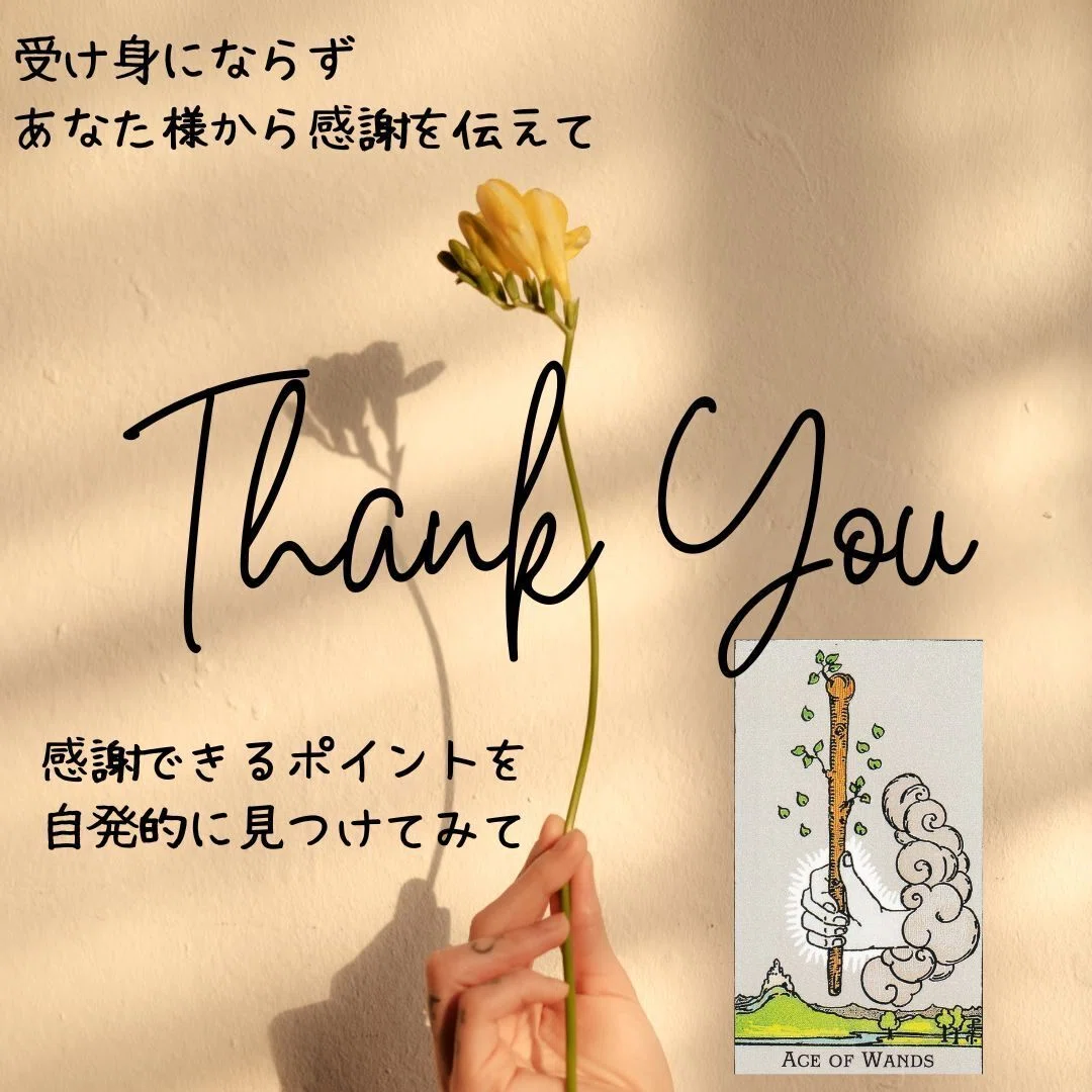 [Divination] A Heart of Gratitude: Opening the Door to Happiness｜輝凛（きりん）