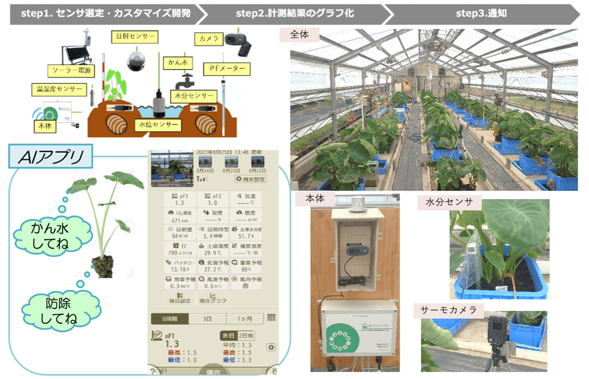 里芋栽培の効率化方法 - Genspark 里芋栽培の効率化方法 - Genspark